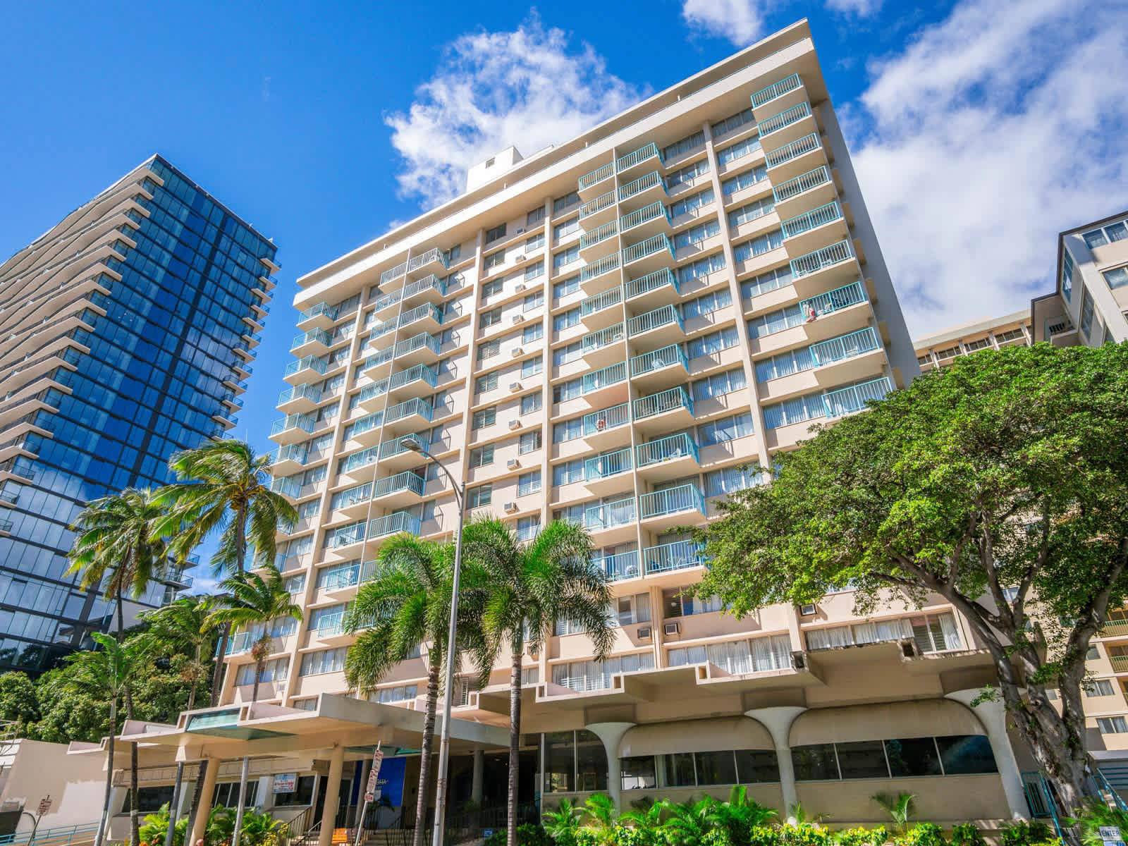 Welcome to Aqua Aloha Surf!