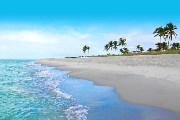 View 2
