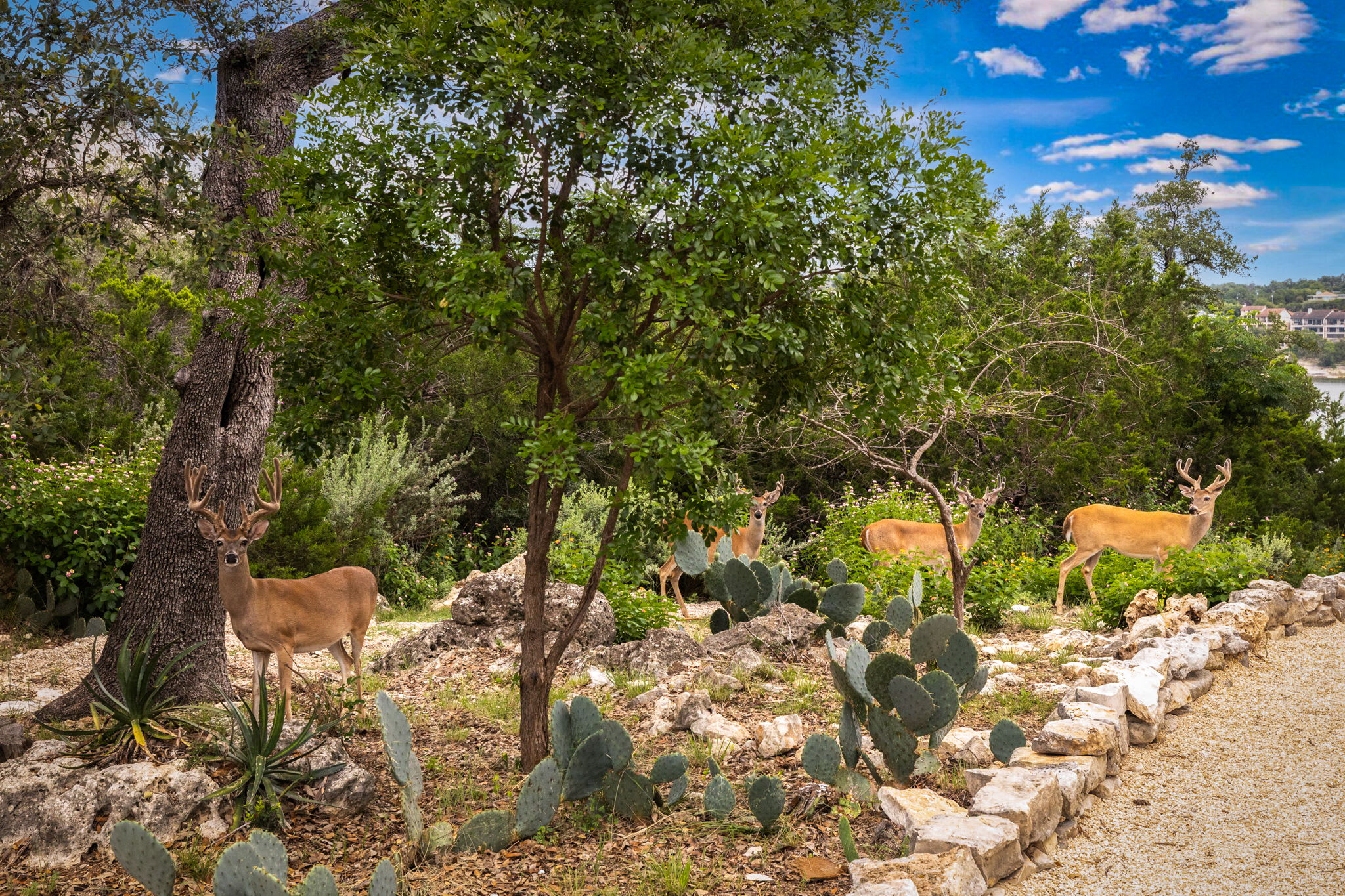 Chasing Summer | Photo 20