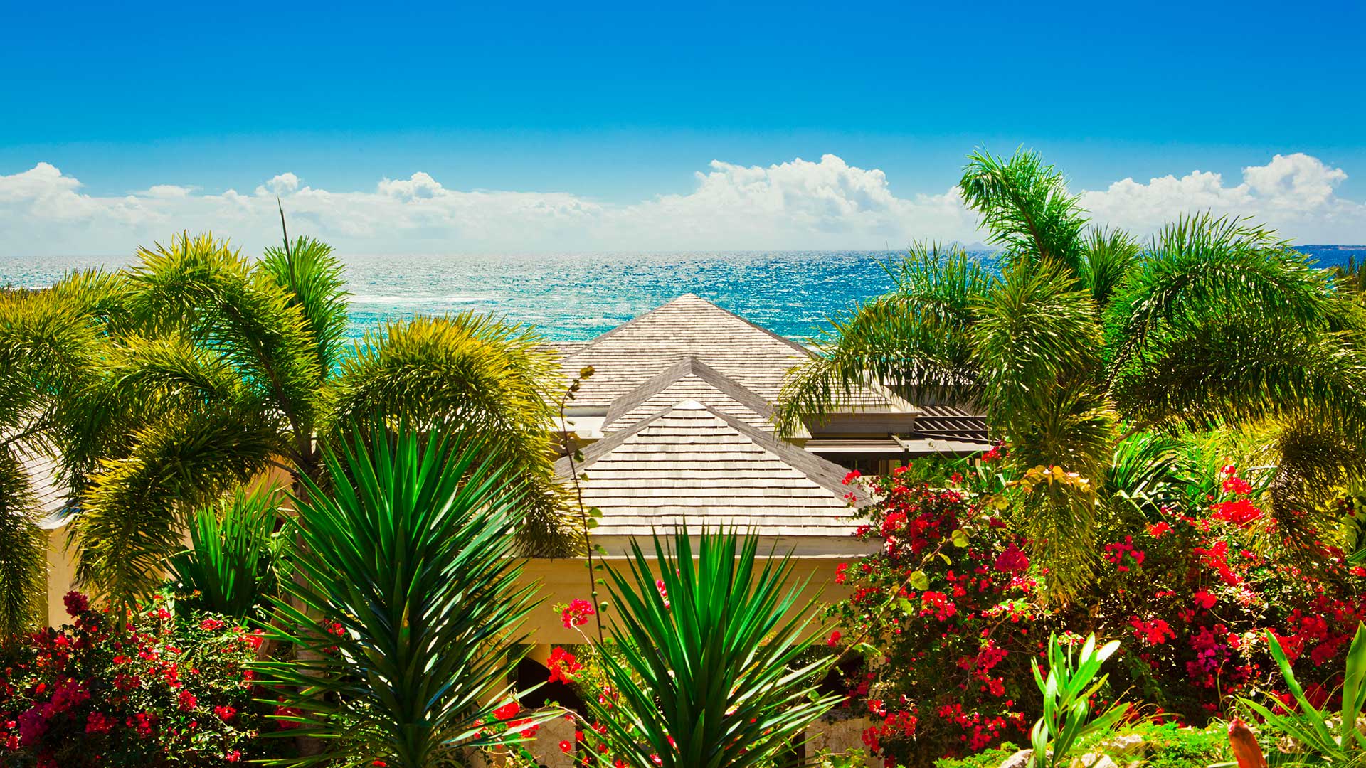 View 7