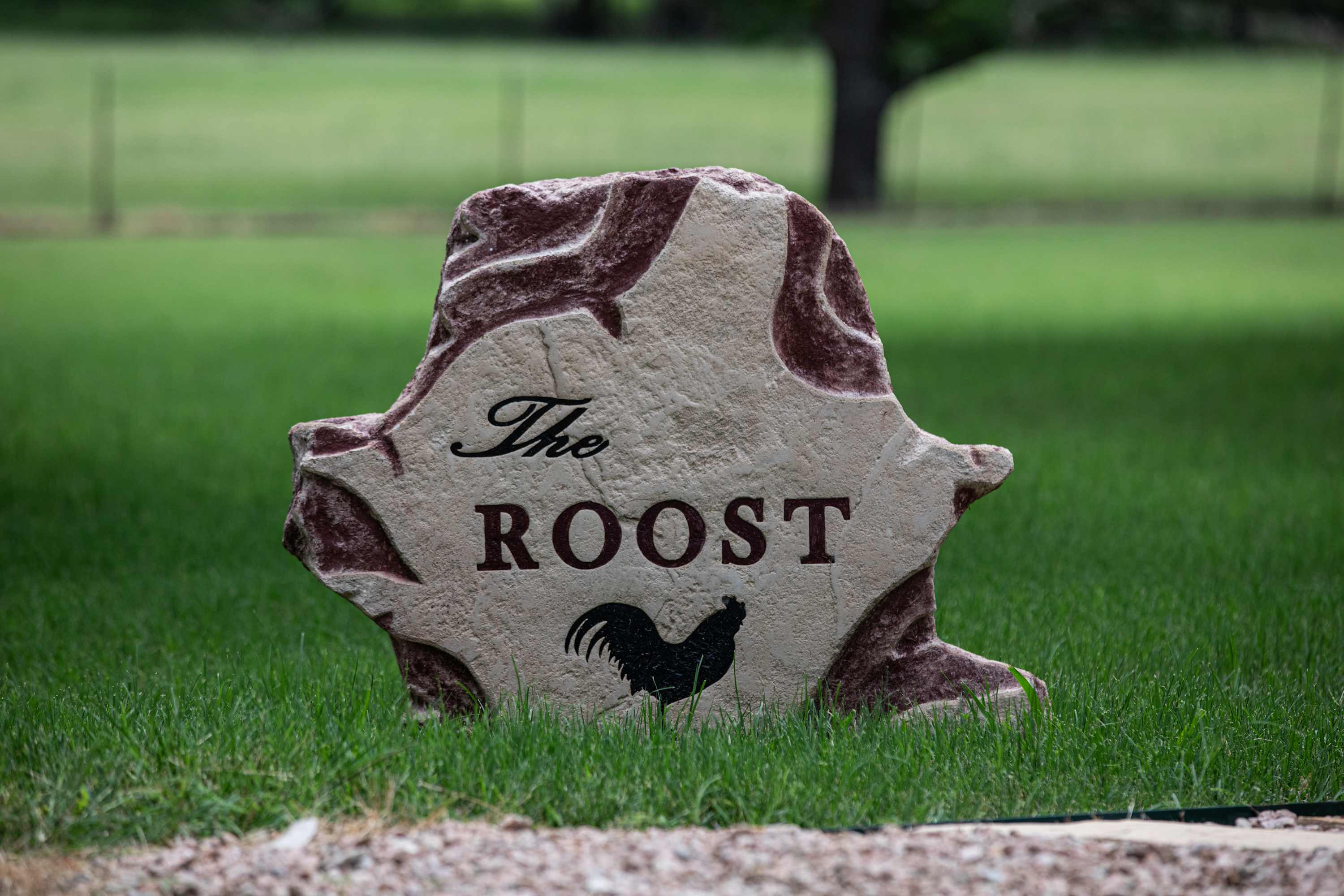 Cabins Out Back-Roost | Photo 25