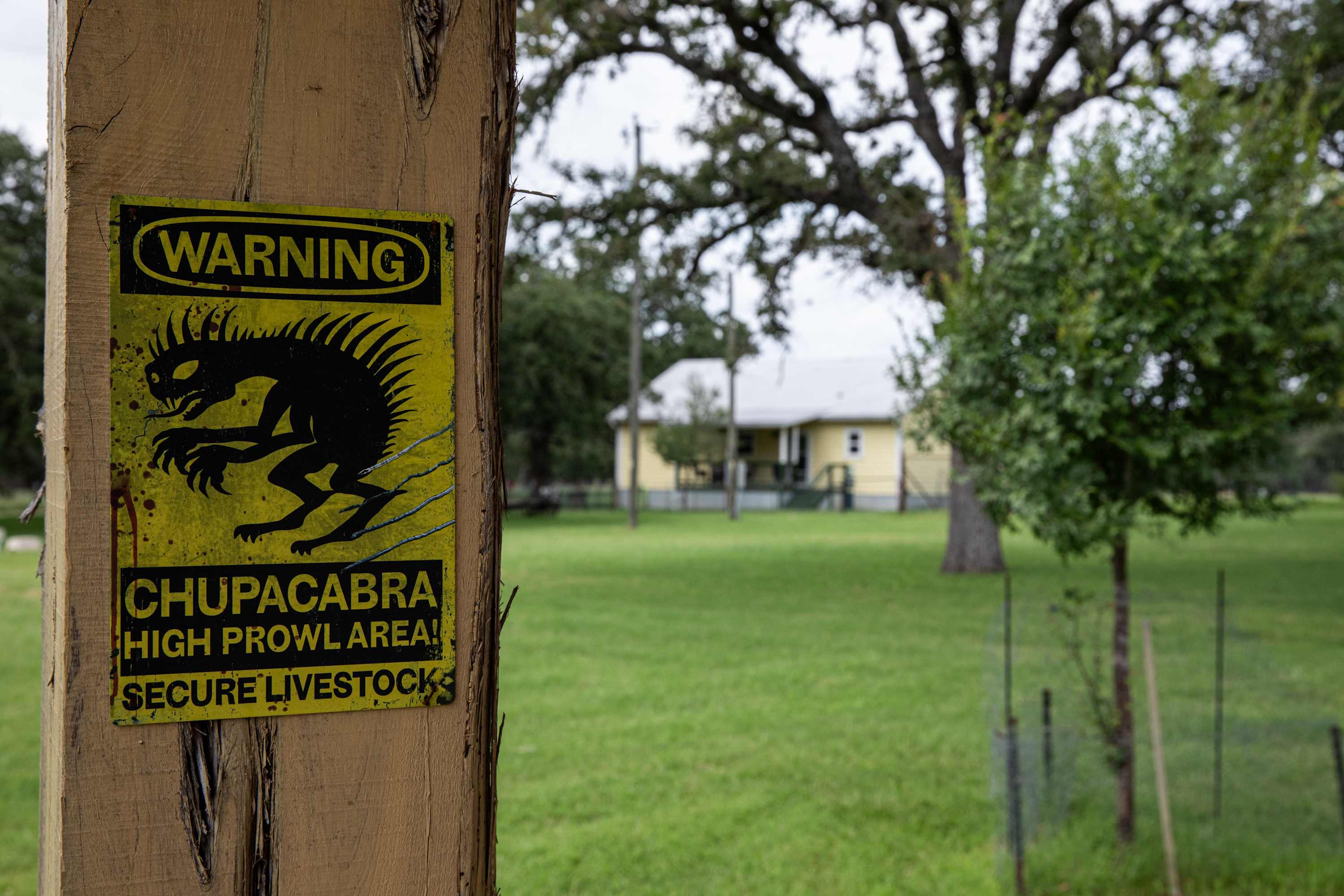 Cabins Out Back-Roost | Photo 29