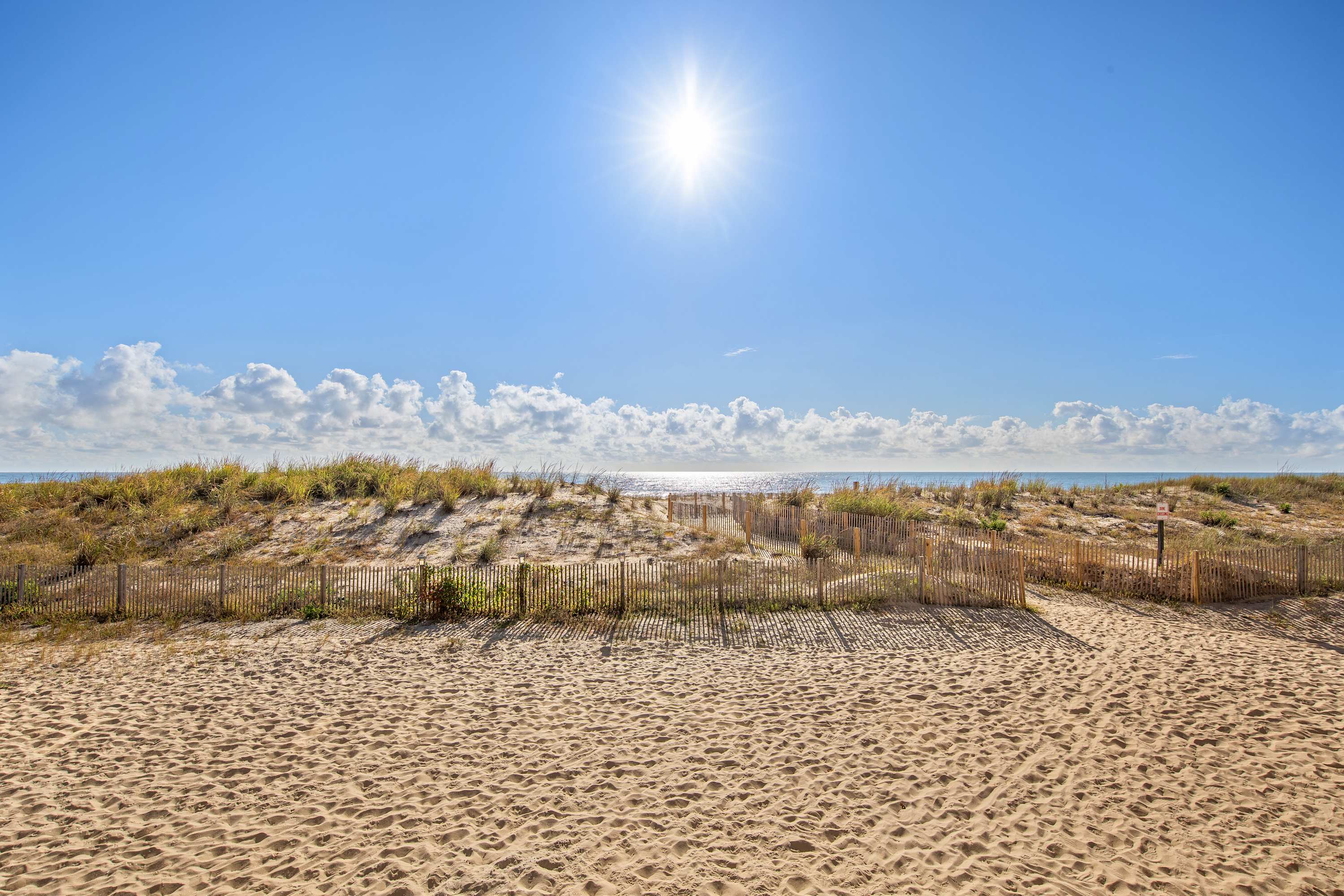 Seal Beach 2