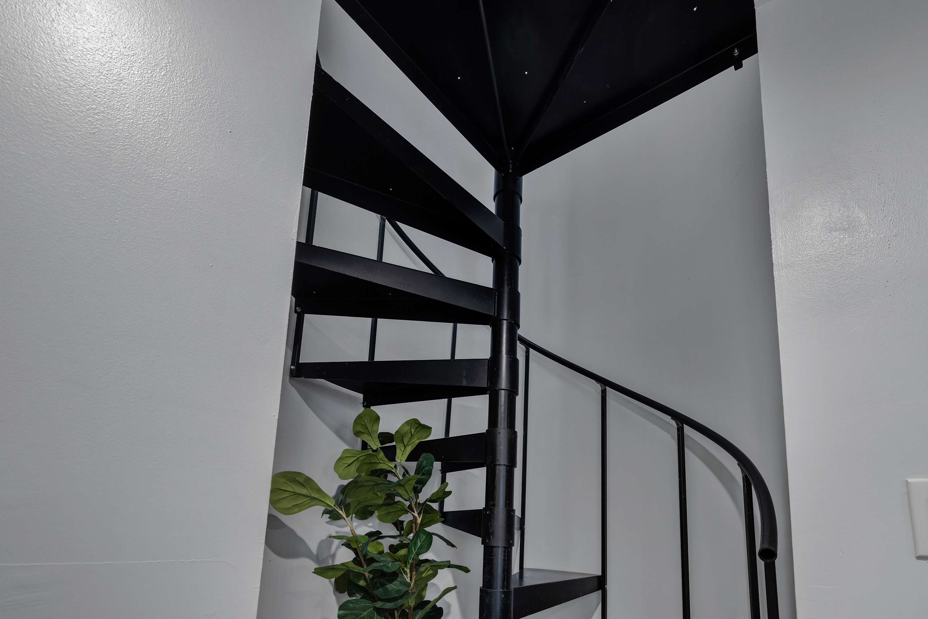 Schubert Place D | Photo 7