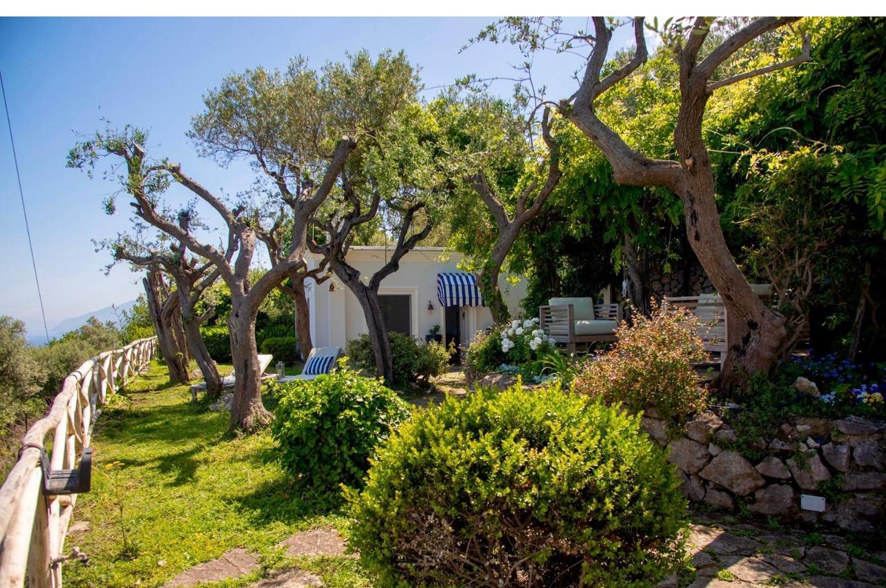 Sogno di Capri - Image 2