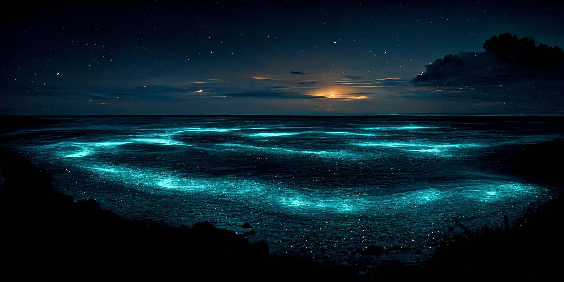 Kaibosh The 9 To 5 (Island House #16) 2br/2ba At Rum Point Bioluminescent Bay - Cayman Islands