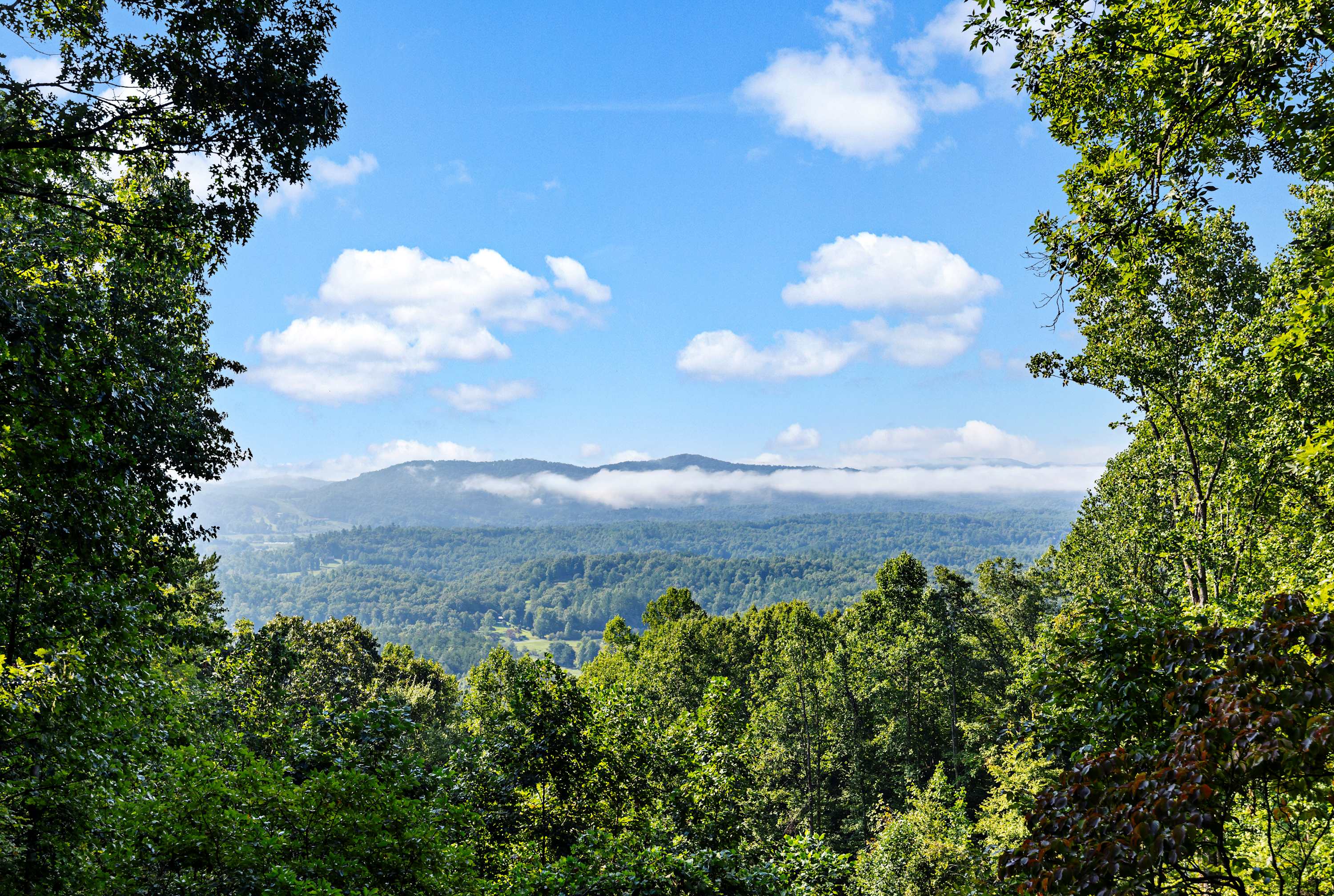 View 3