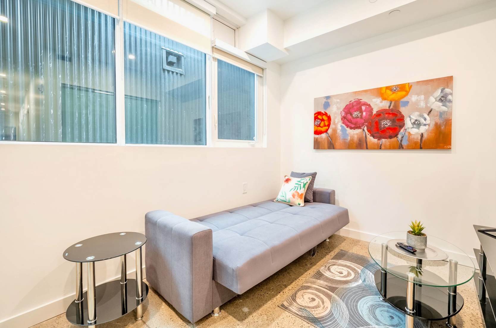 Living room with sofa bed