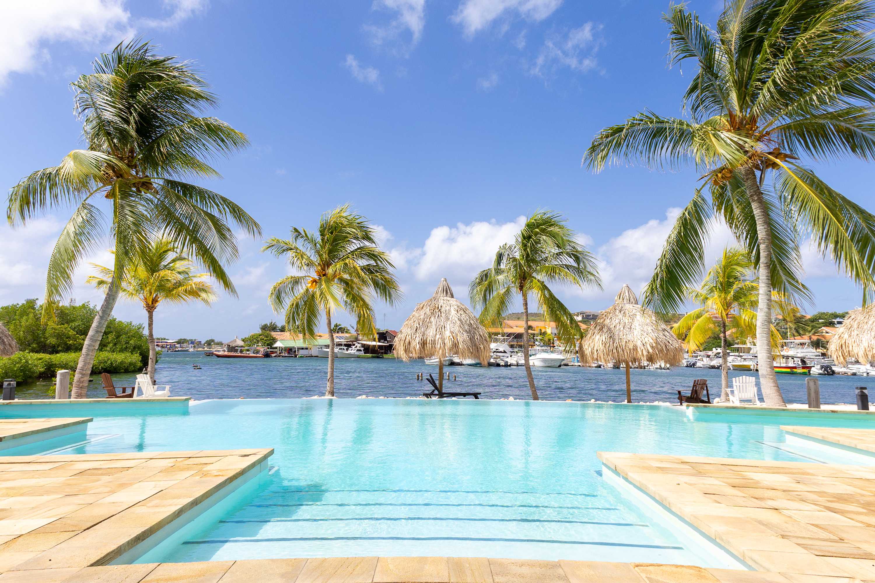 Tropical Escape with Pool and Ocean Views 3