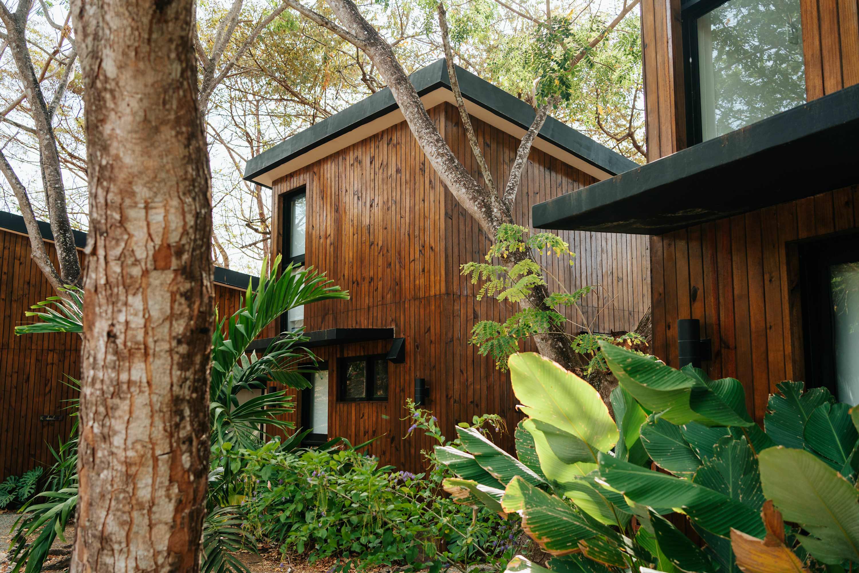 Body - Oceanfront Jungle Loft — Las Escobas del Venado, Provincia de Los Santos — vacation rental