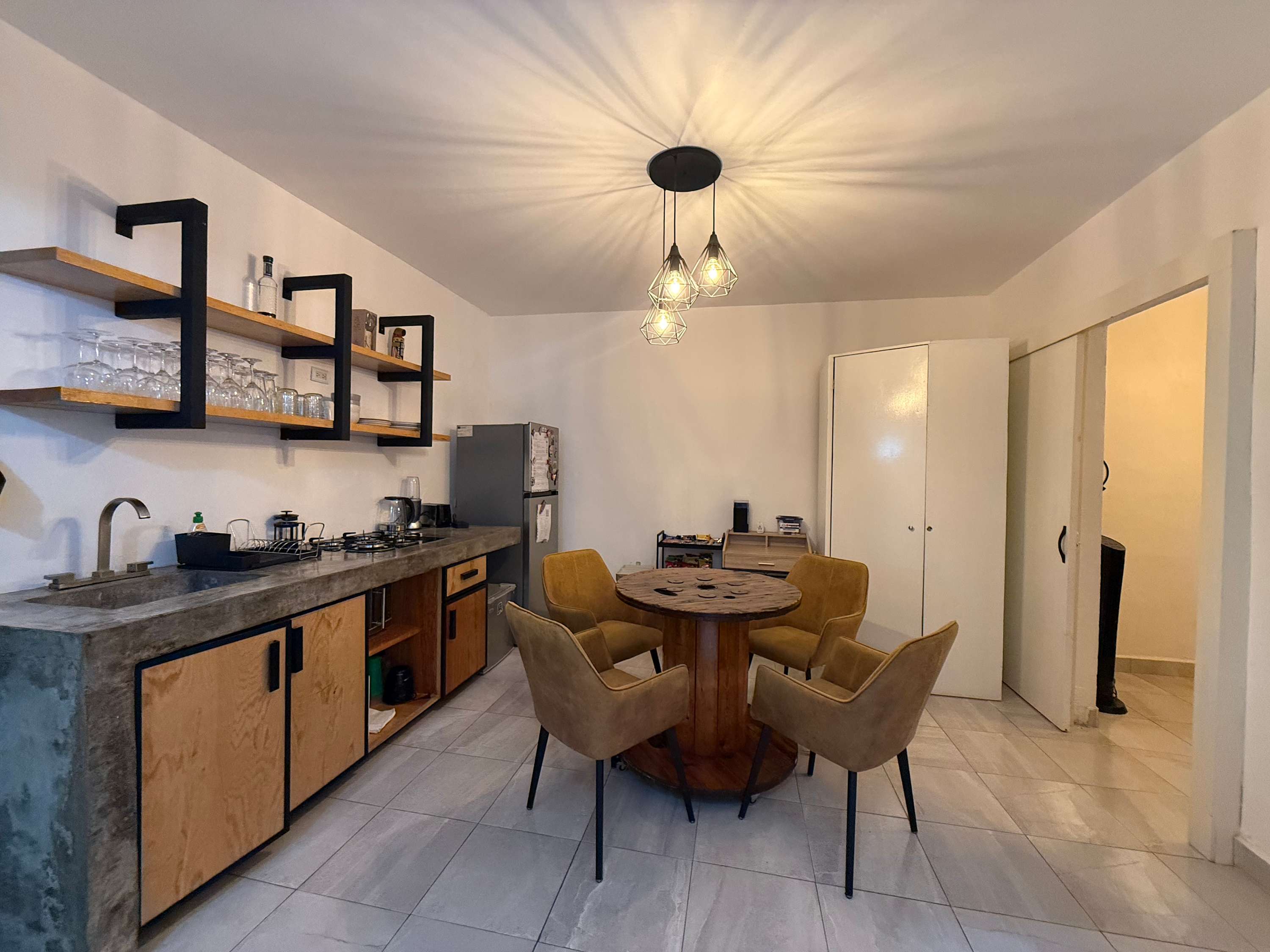 Condesa Industrial Style Loft Chilaquil