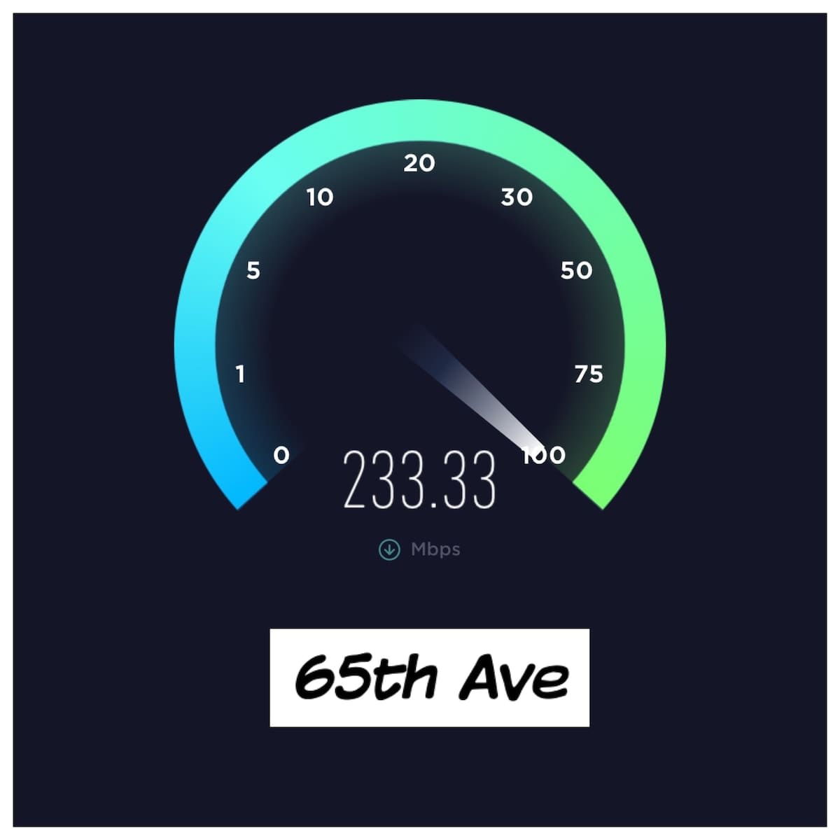 Private Two-Bedroom Lower Unit in Denver 5