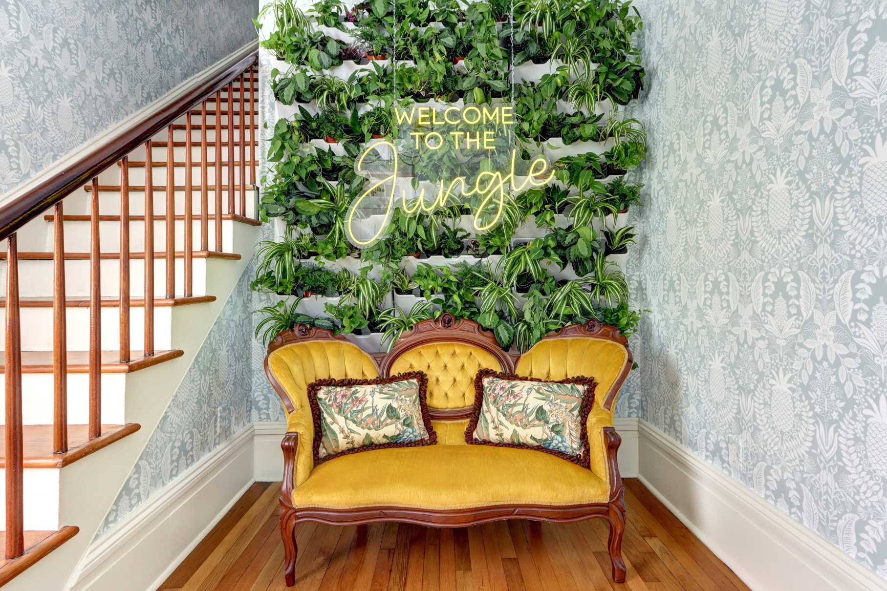 REAL Plant wall for cute pics!