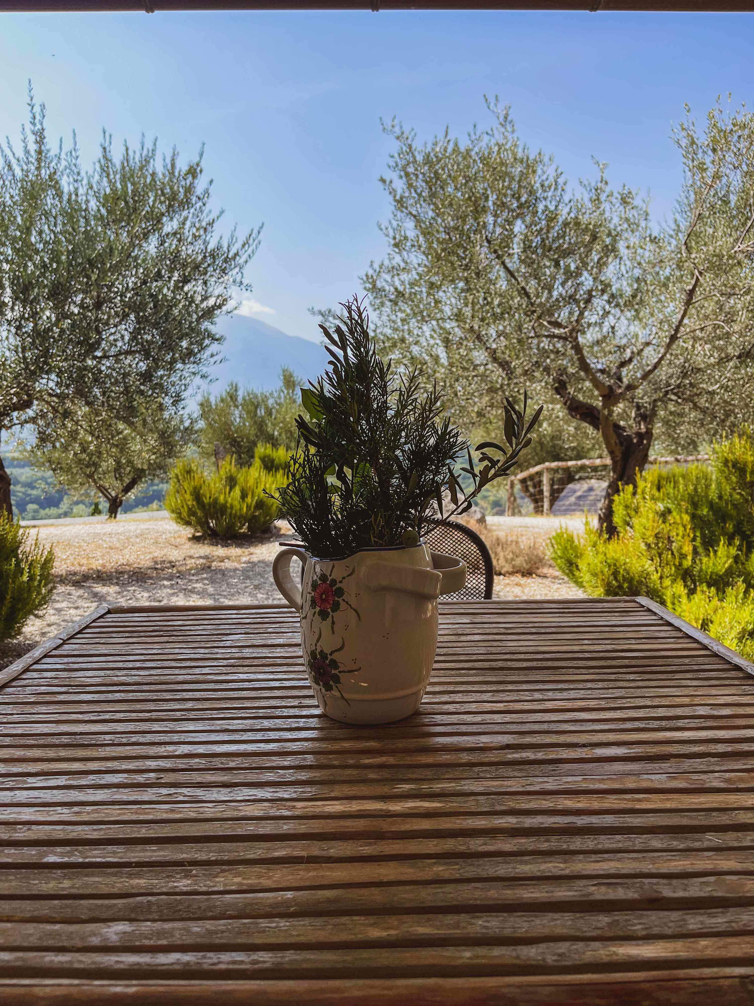 Il Castello - Image 9