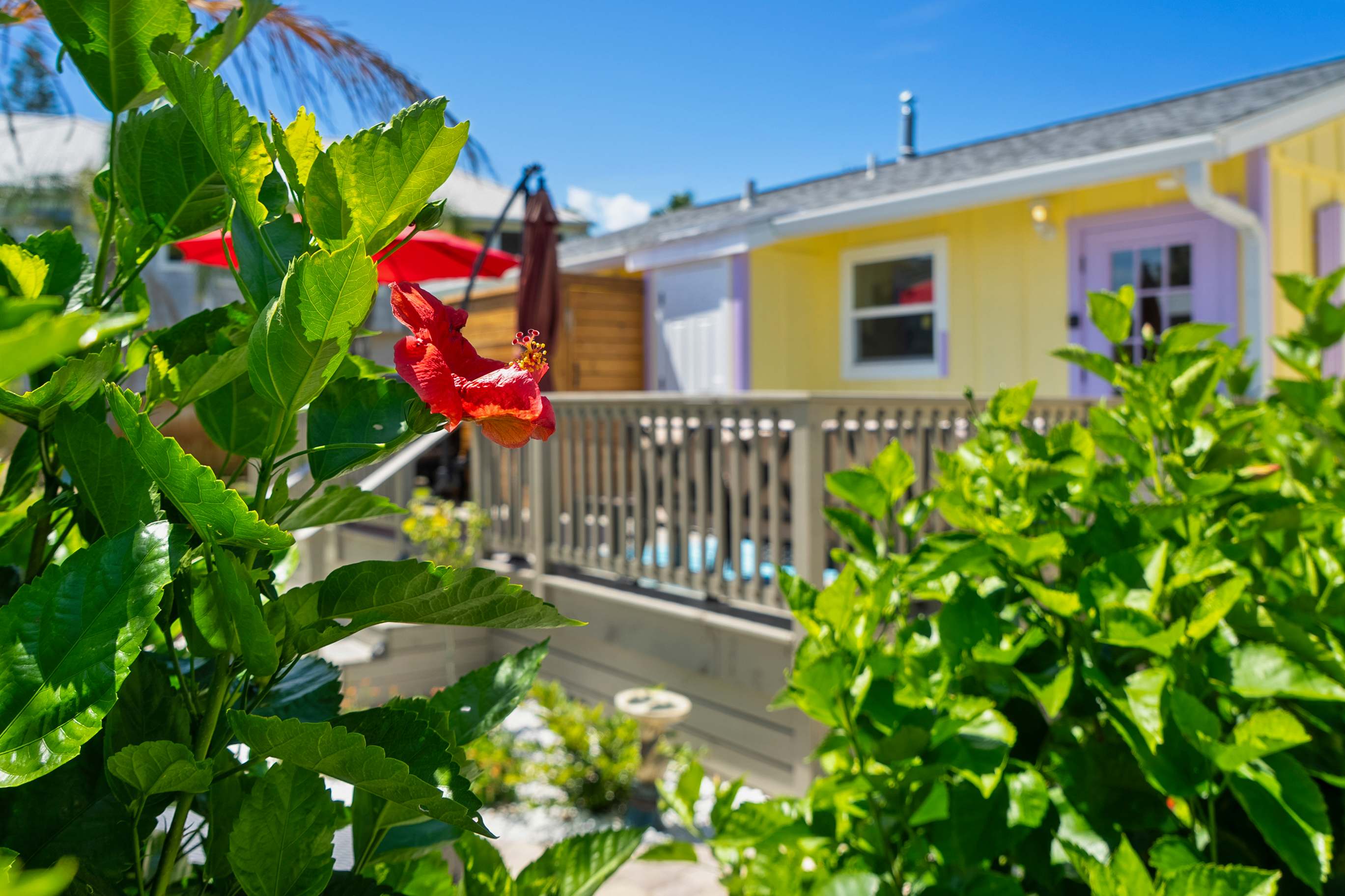 Steps to Beach, Patio, Fire Pit, Tropical Oasis — St. Augustine, FL — vacation rental