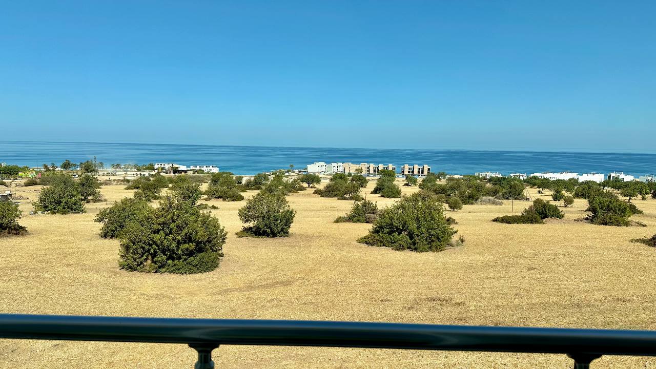 View 4