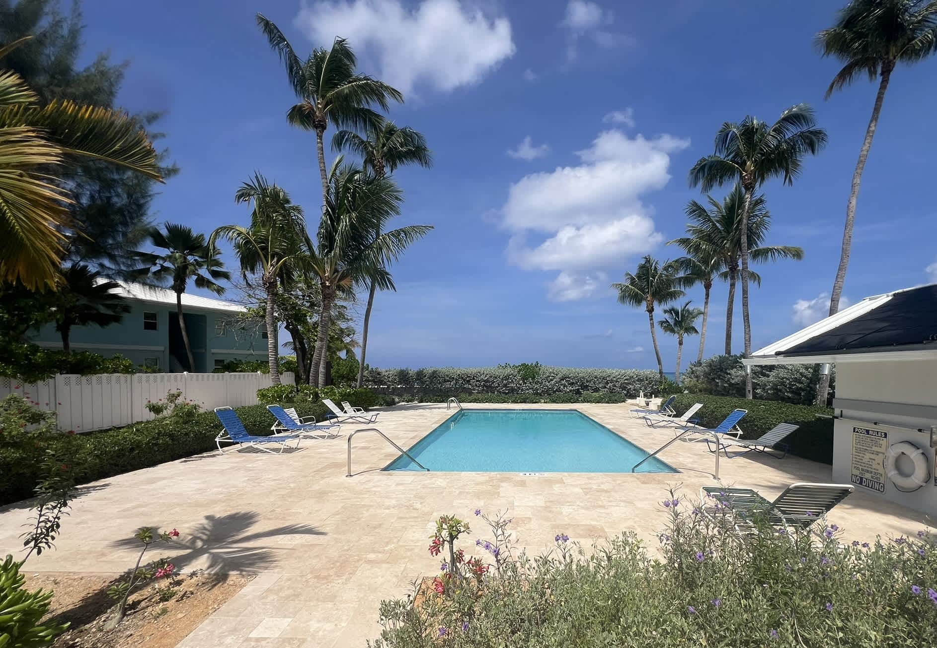 2025 Updated Deck and Swimming Pool
