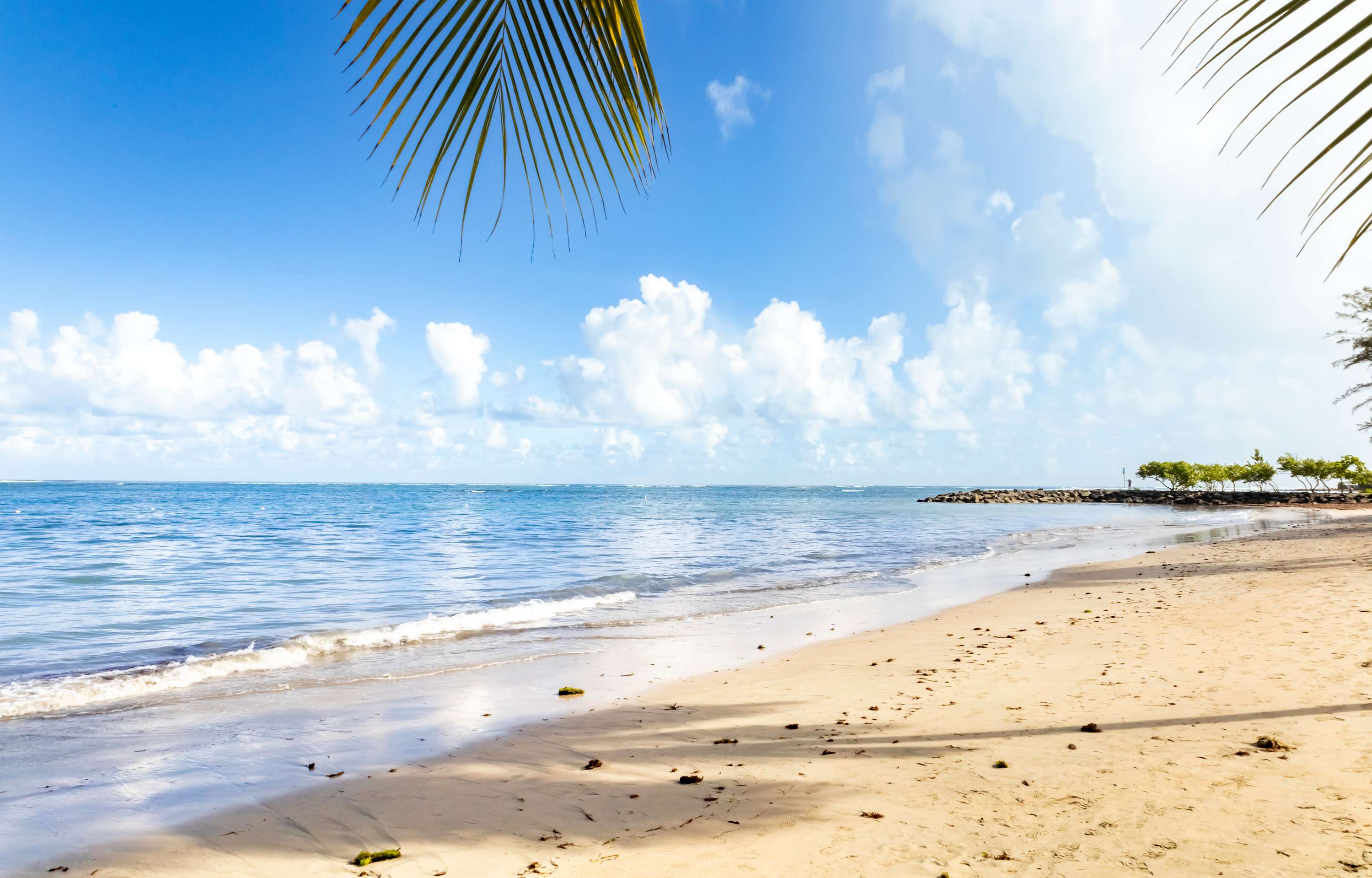 AQUA Terrazas 1 · ADA Accessible Beachfront Studio - Property photo