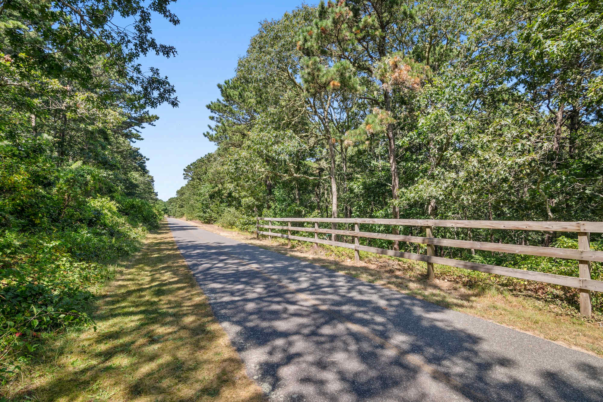 Photo 5 of Del Mar #16681