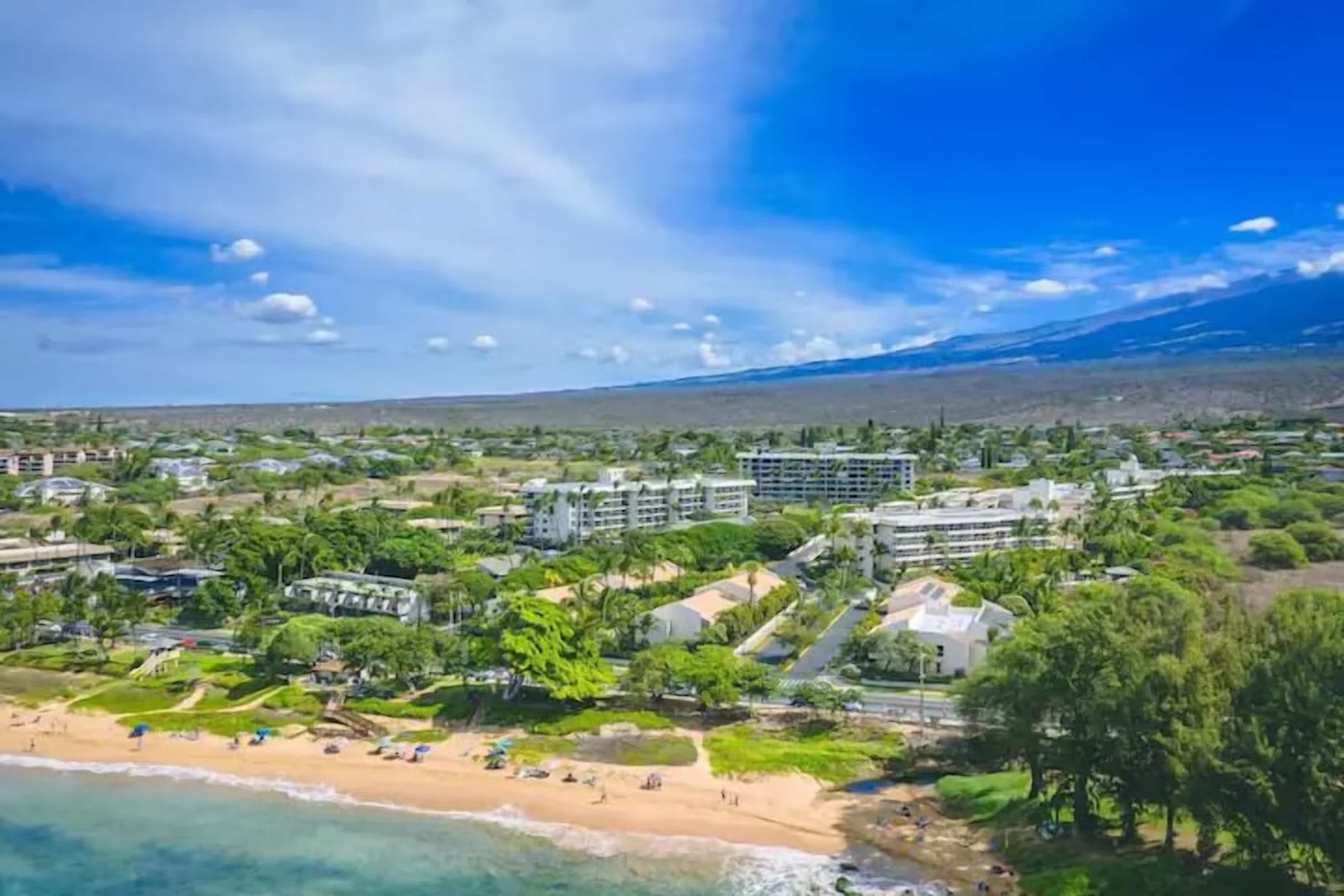 Beachfront Studio | Walk to Kamaole Beach + Pools — photo 19