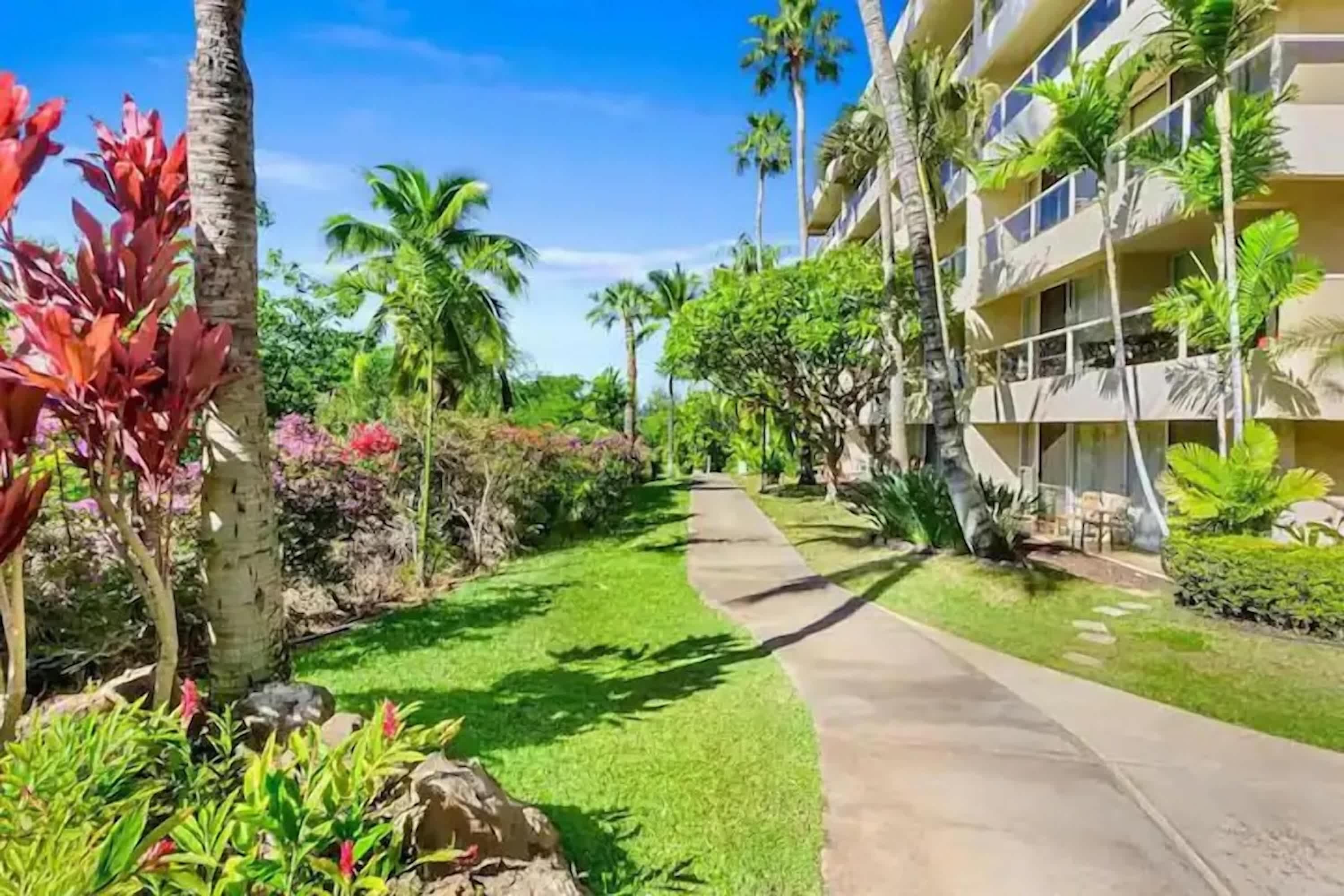 Beachfront Studio | Walk to Kamaole Beach + Pools — photo 22