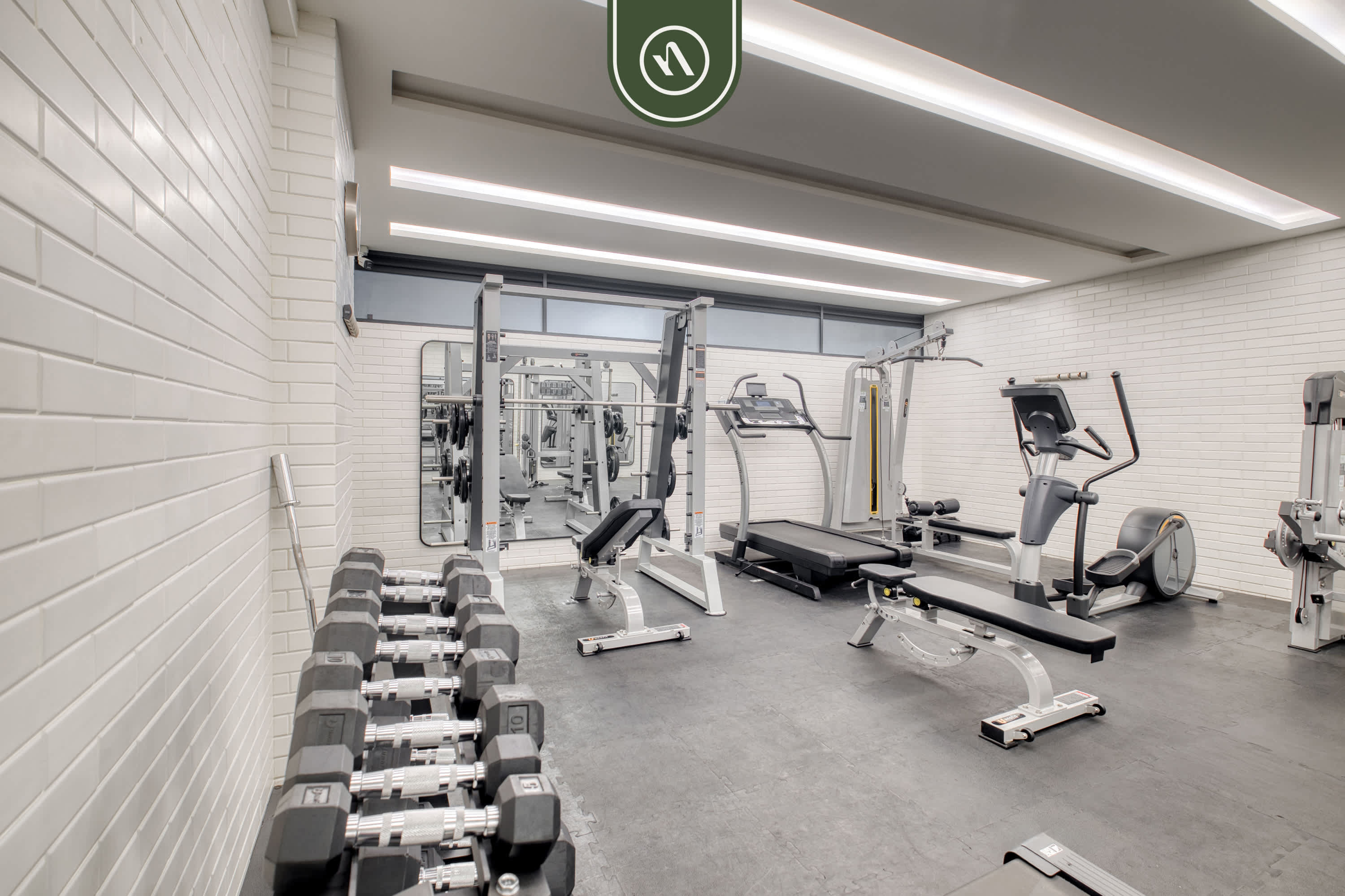 Amazing 2BR Apt in Roma Norte - Yoga Room 6