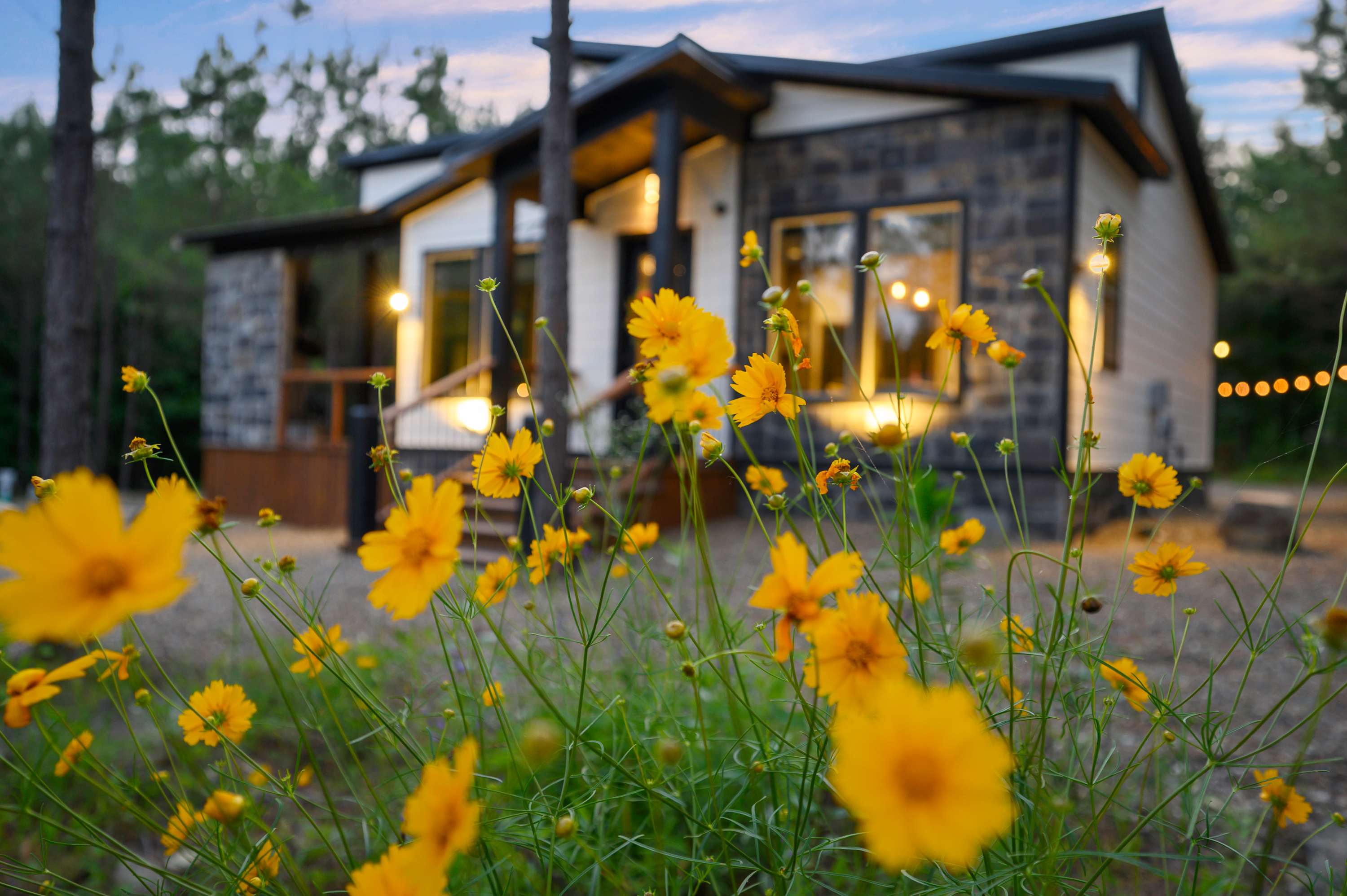 New! At Ease Romantic Honeymoon Cabin Hot Tub