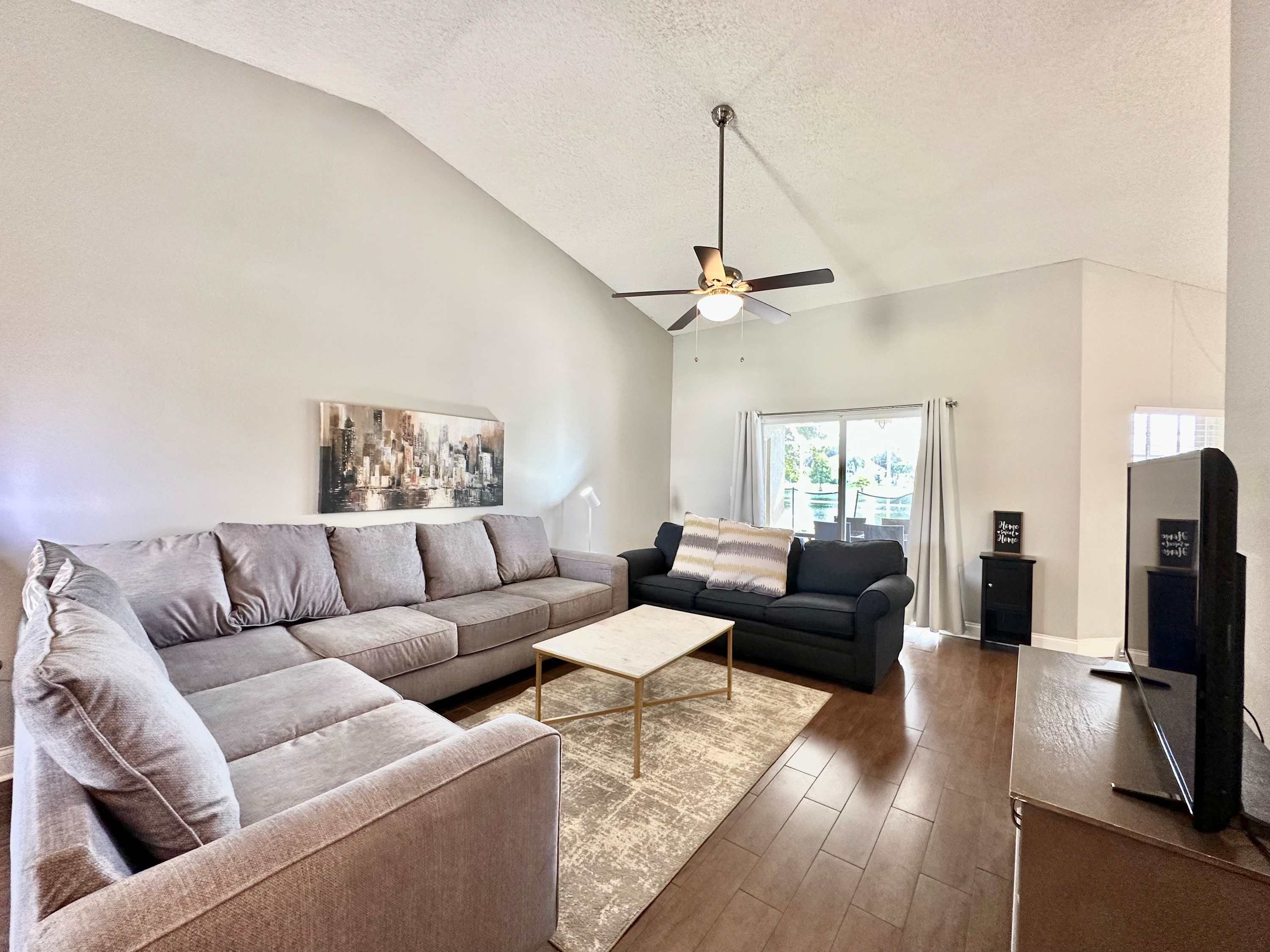 Open living space with TV and sofa sleeper