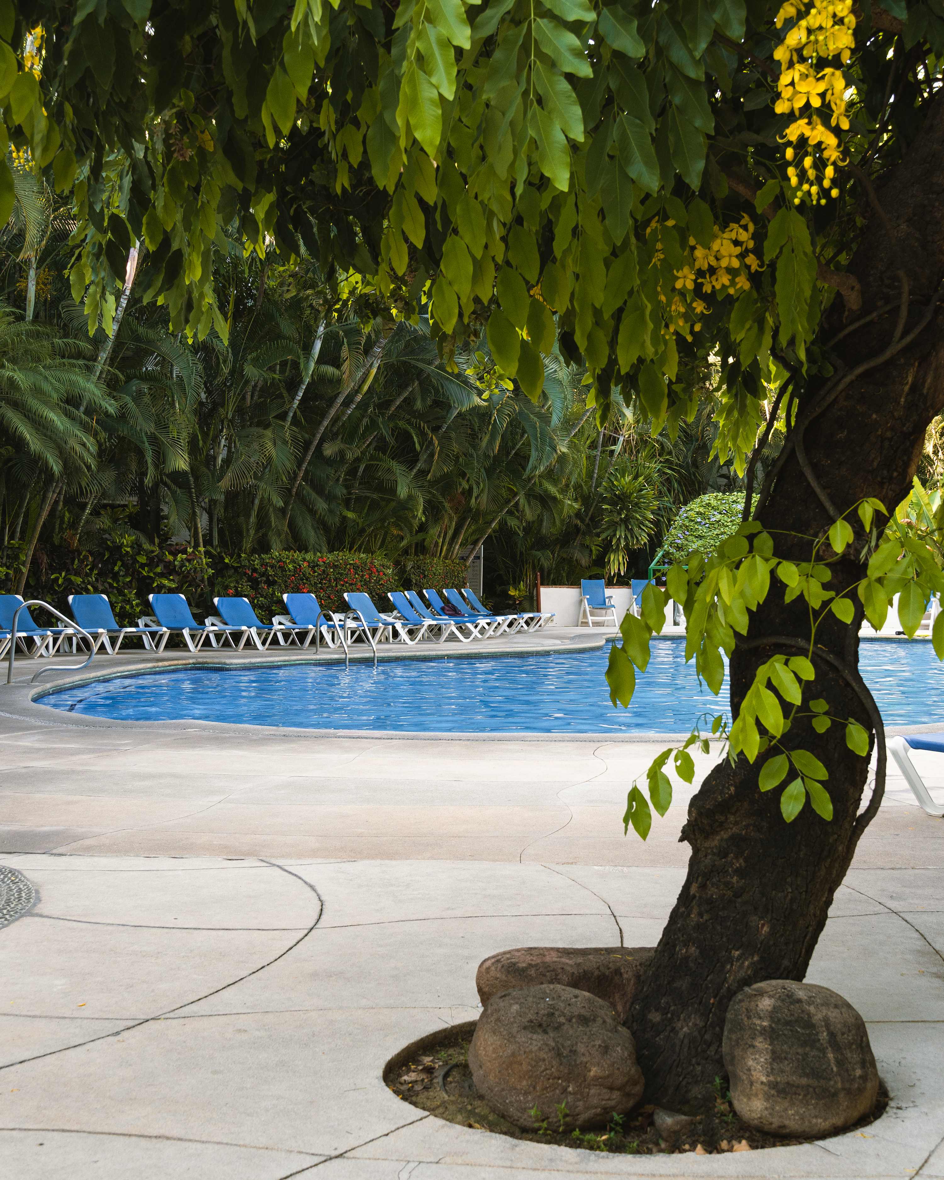 Rustic Ground Floor Haven Surrounded by Nature — Puerto Vallarta, Jalisco — vacation rental