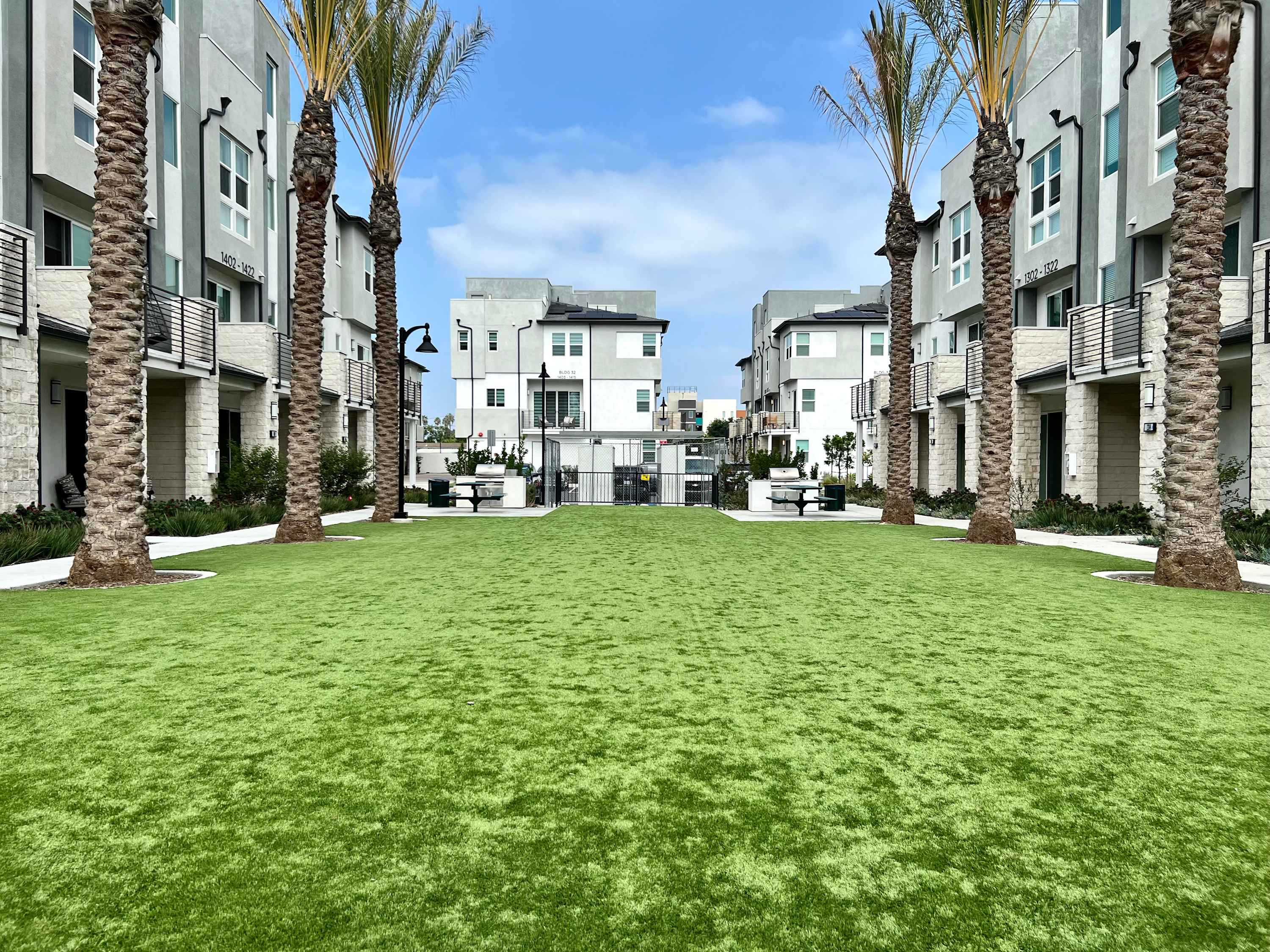 Green space surrounded by palm trees.