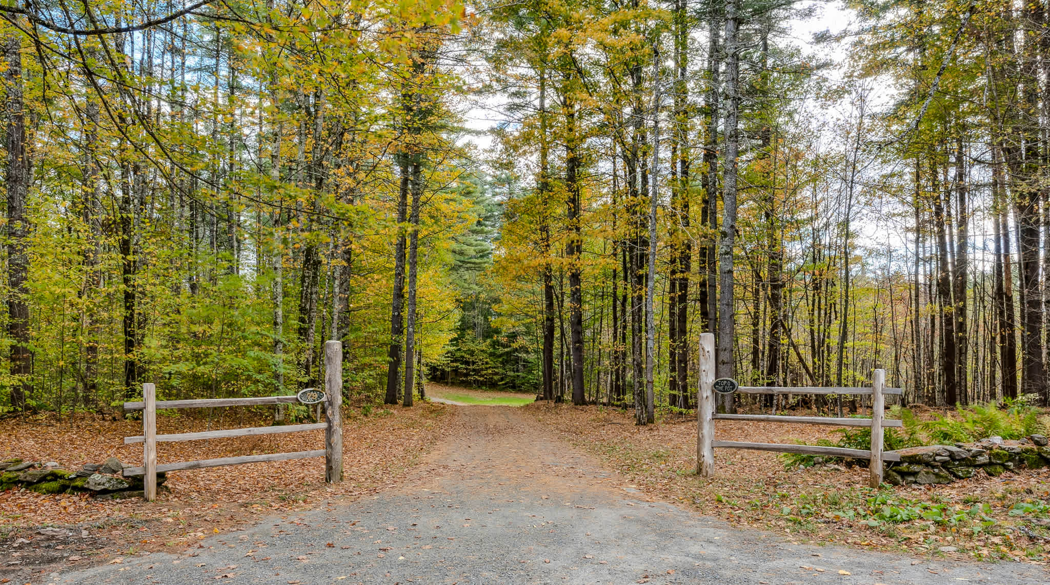 Hot Tub, Firepit, Mtn Views! | Spruce Moose Lodge
