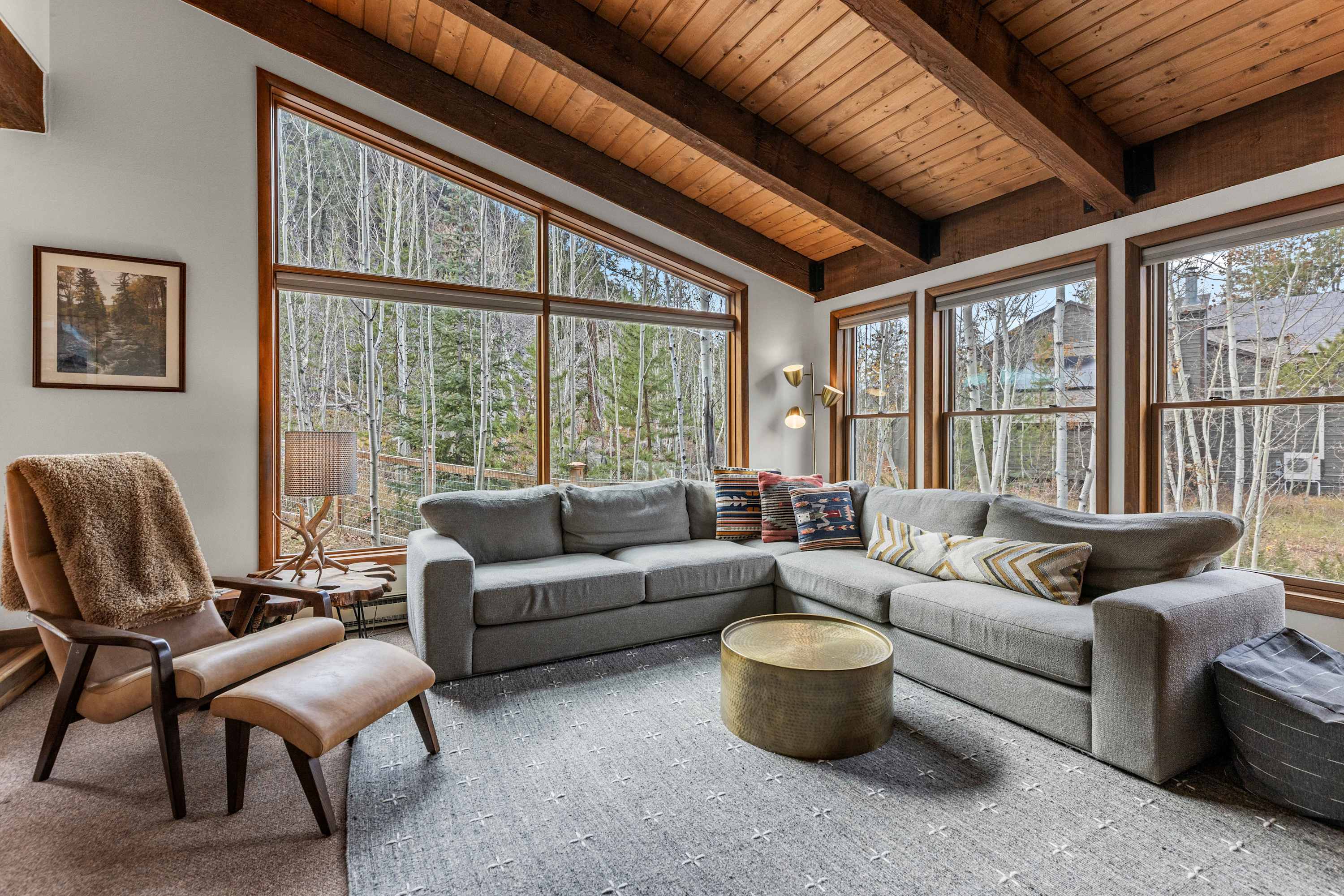 Relax by the fireplace in a cozy, sun-drenched living room with forest views!