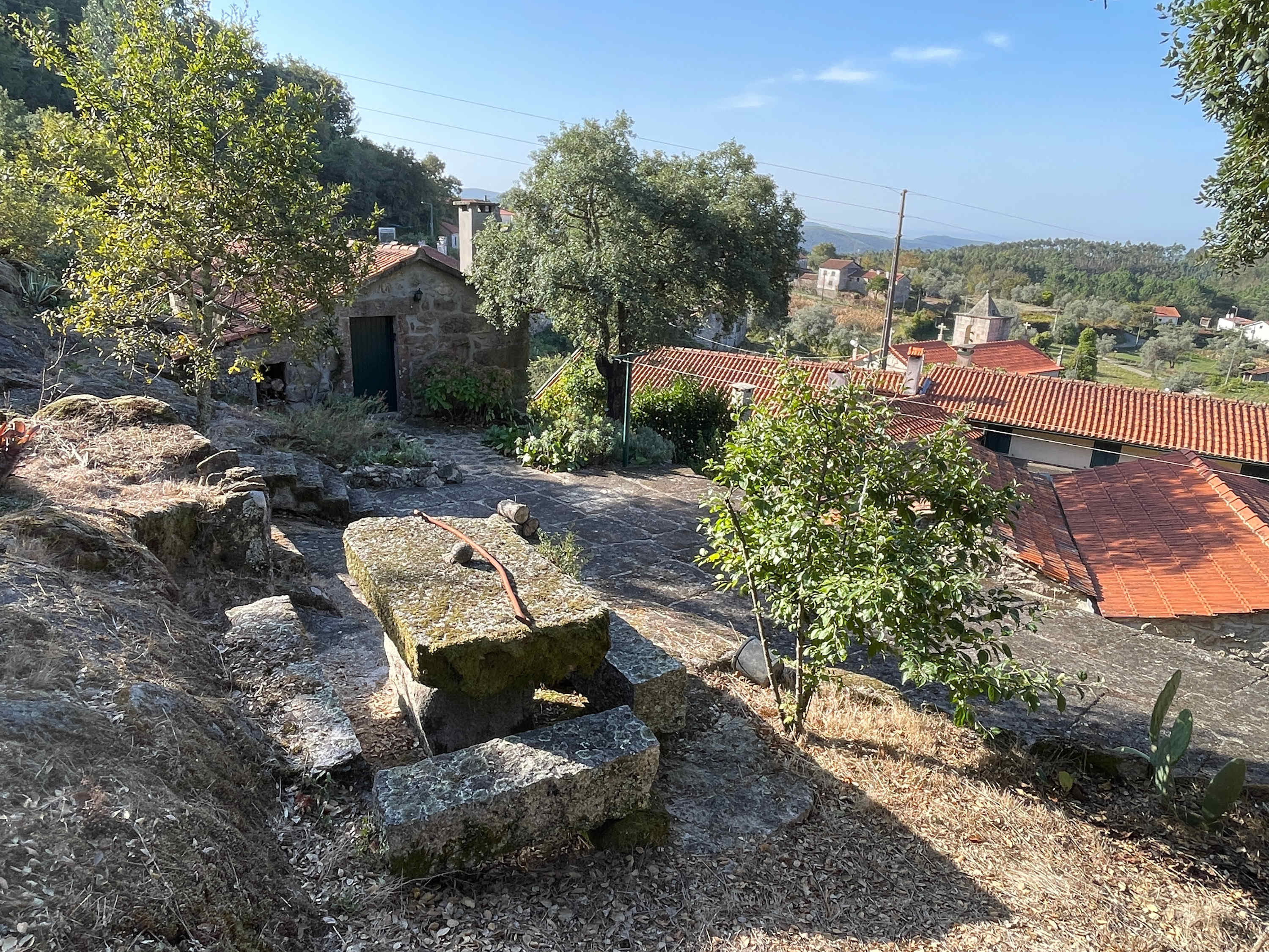 View 9