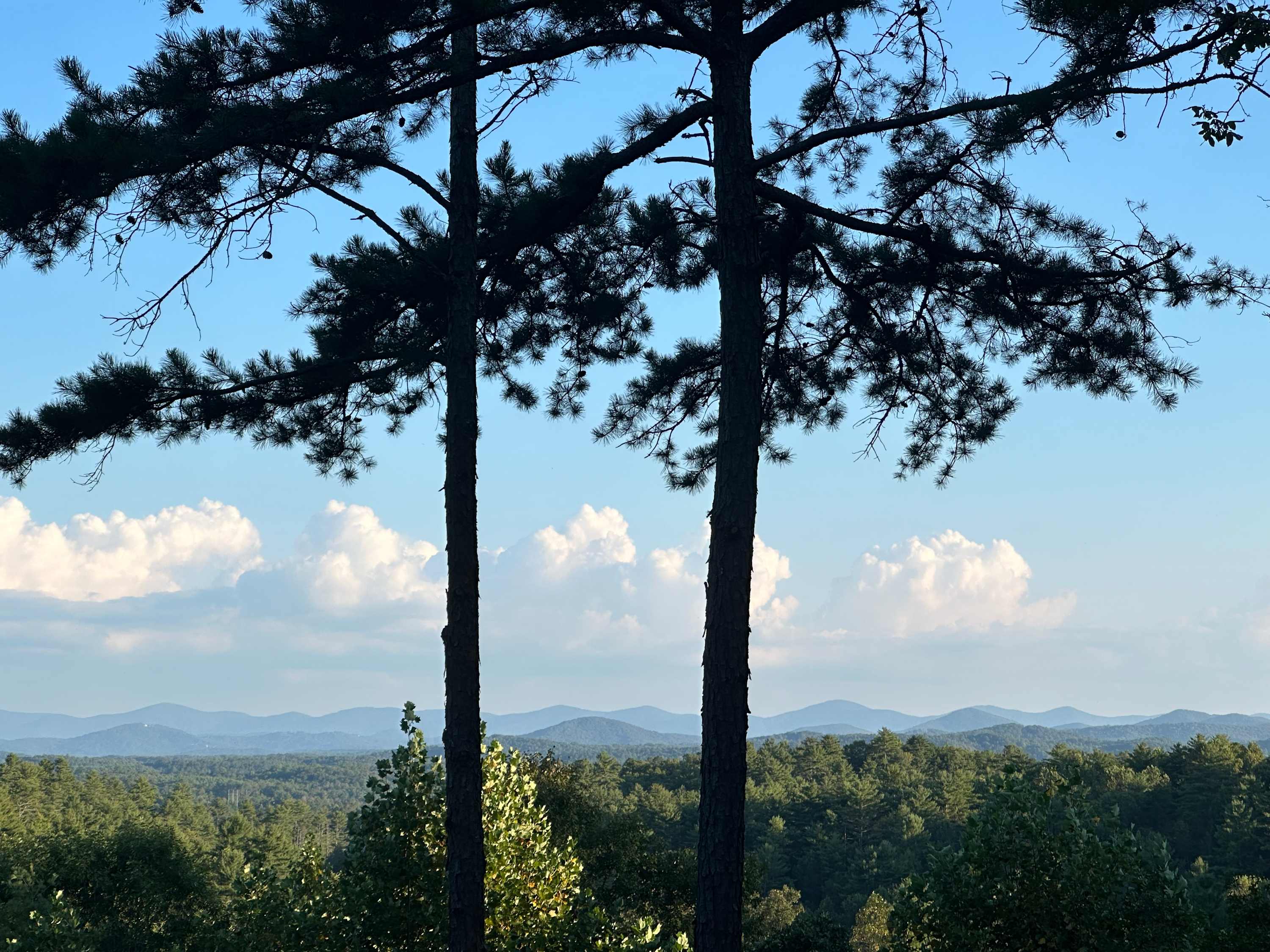 View 3