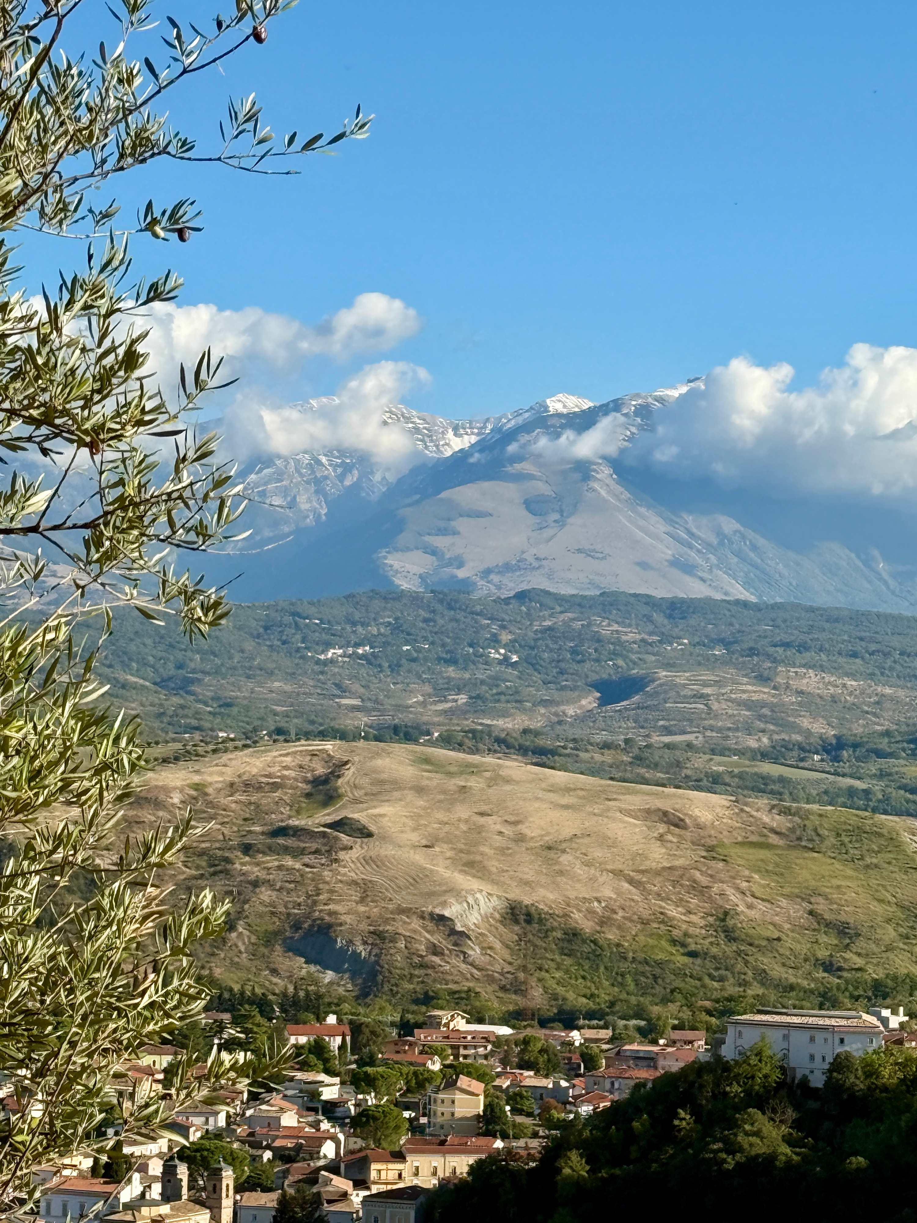 Property thumbnail 14