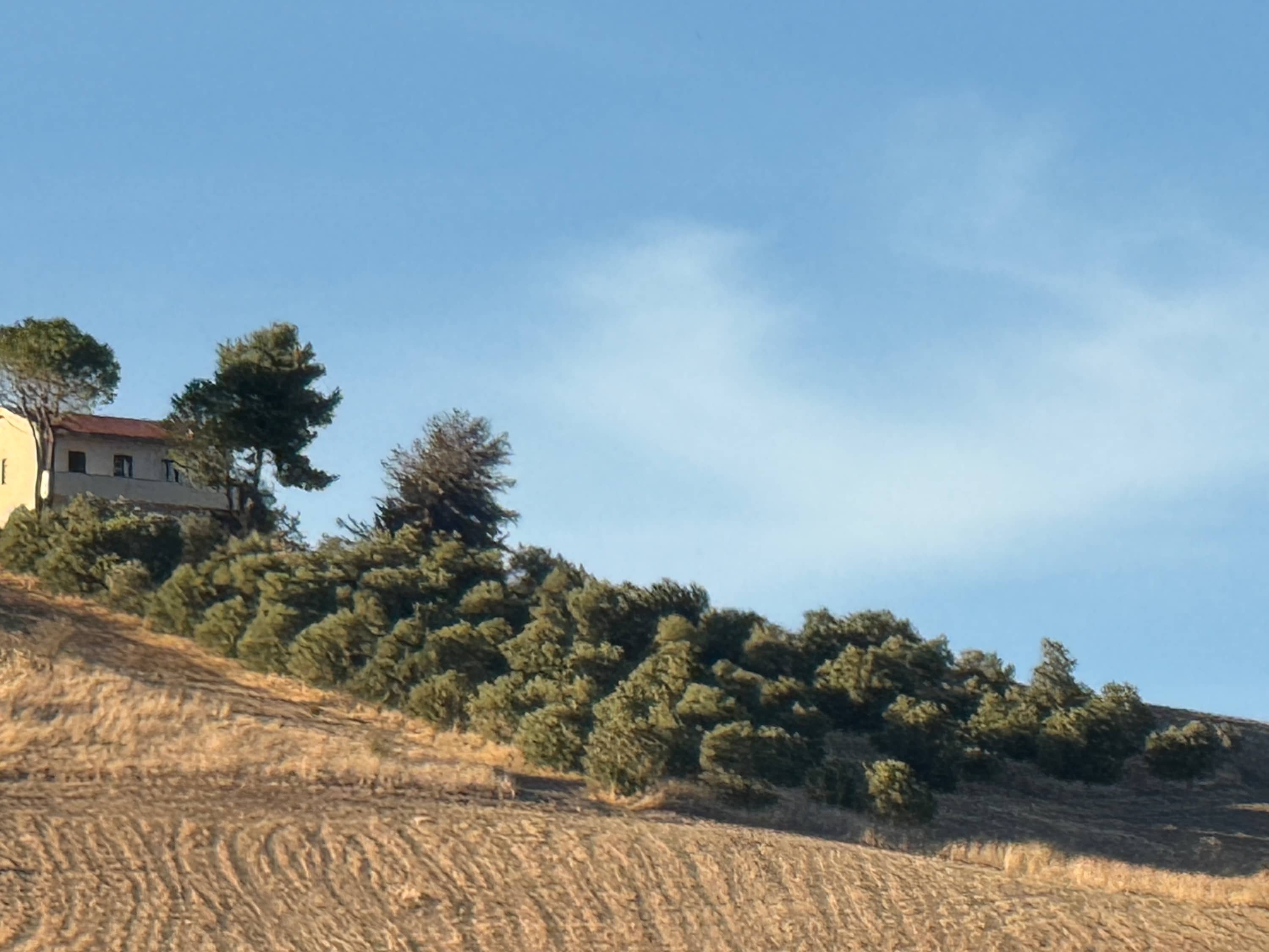 Property thumbnail 31