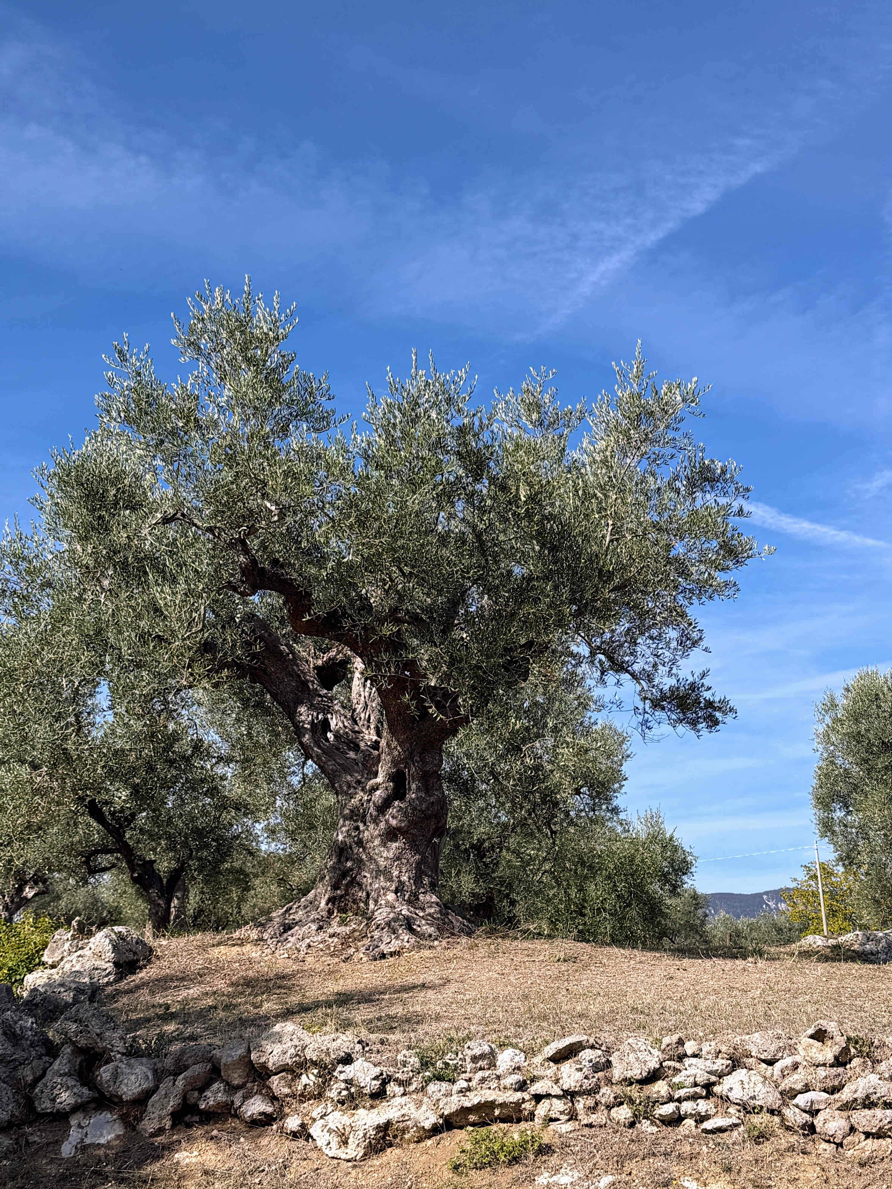 Property thumbnail 34