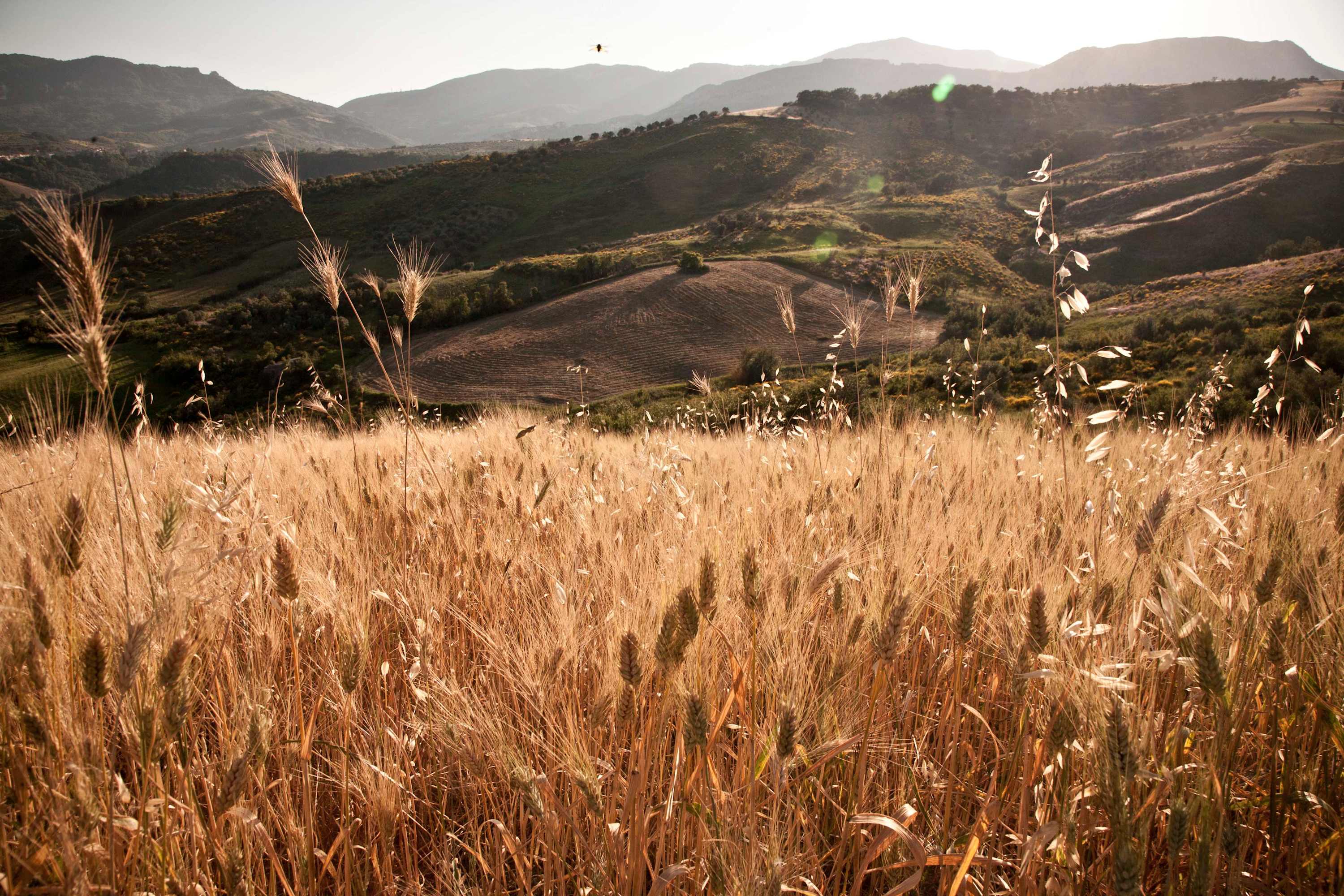 Property thumbnail 37