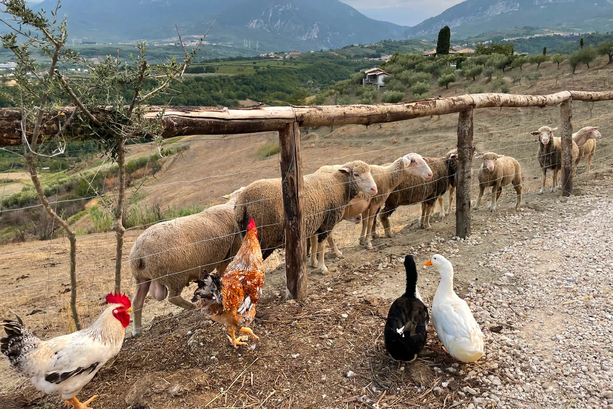 Property thumbnail 52