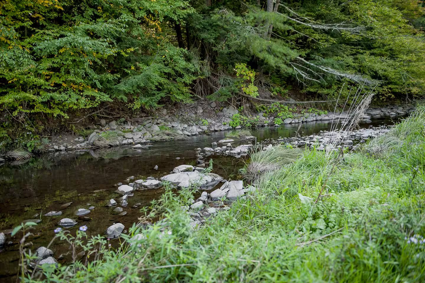Hot Tub, Game Room, Fire Pit | Black Creek Lodge