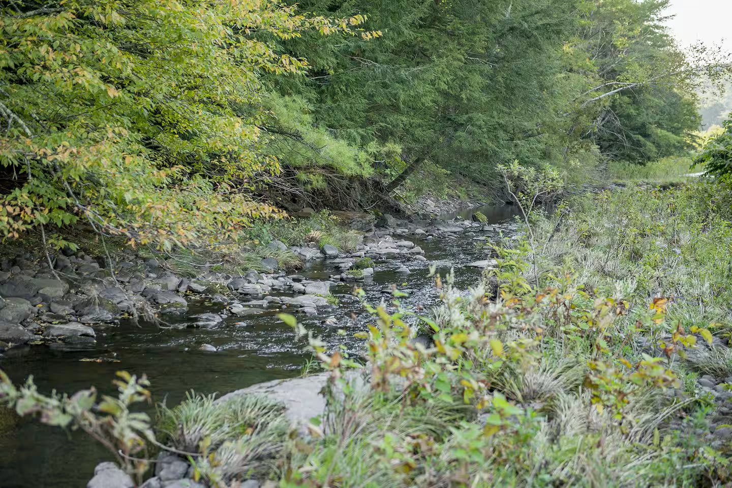 Hot Tub, Game Room, Fire Pit | Black Creek Lodge