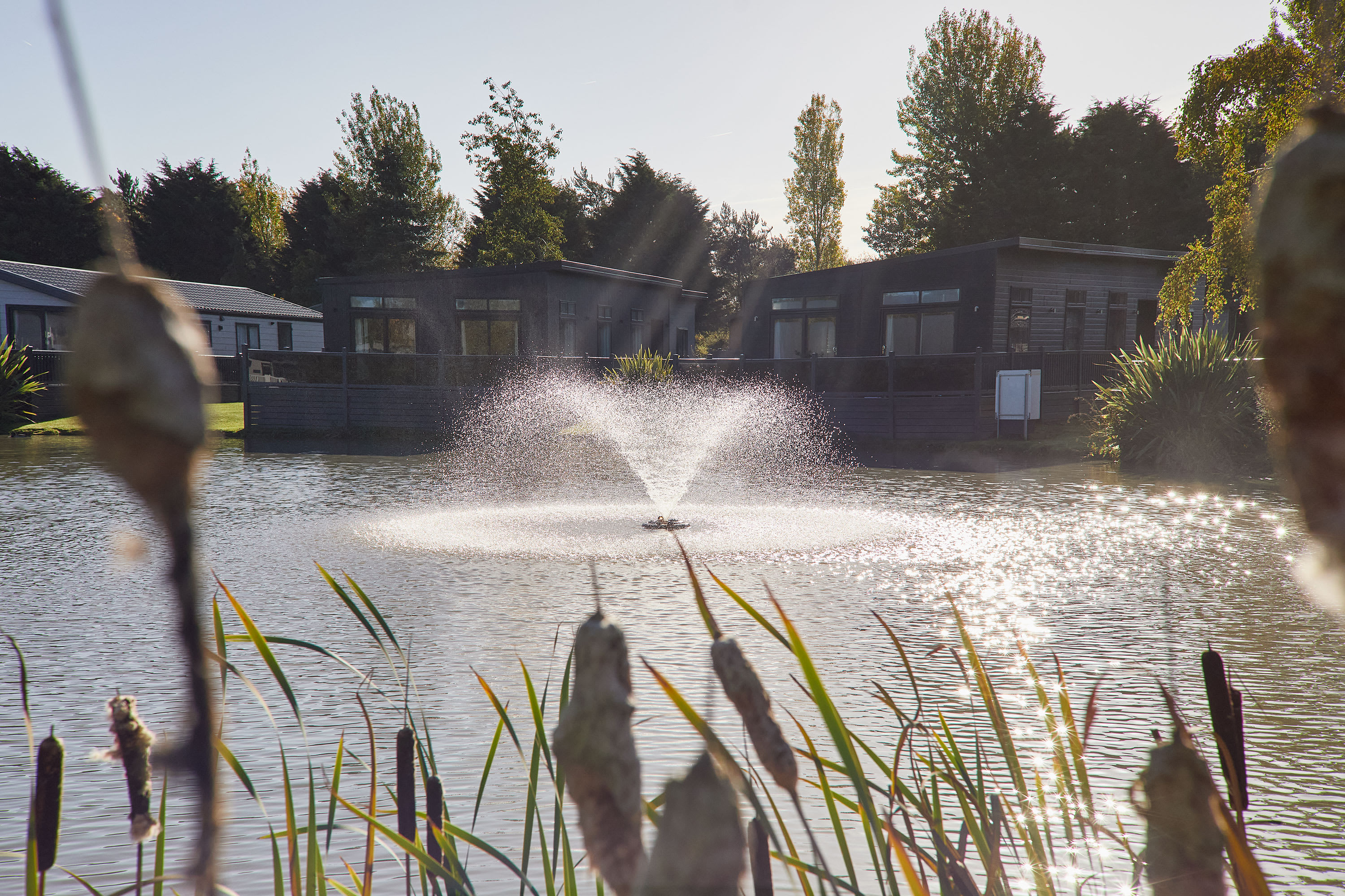 Pine Lodge – photo 47