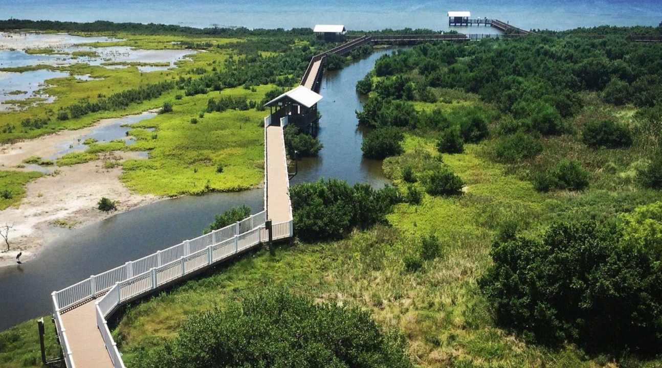 South Padre Island Birding & Nature Center 