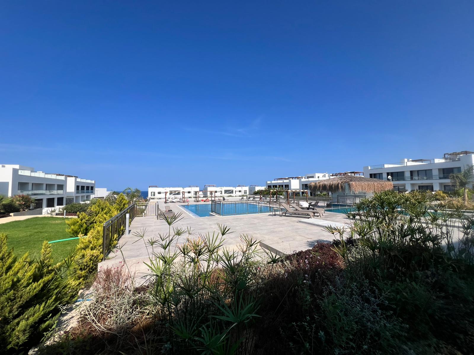 View 8