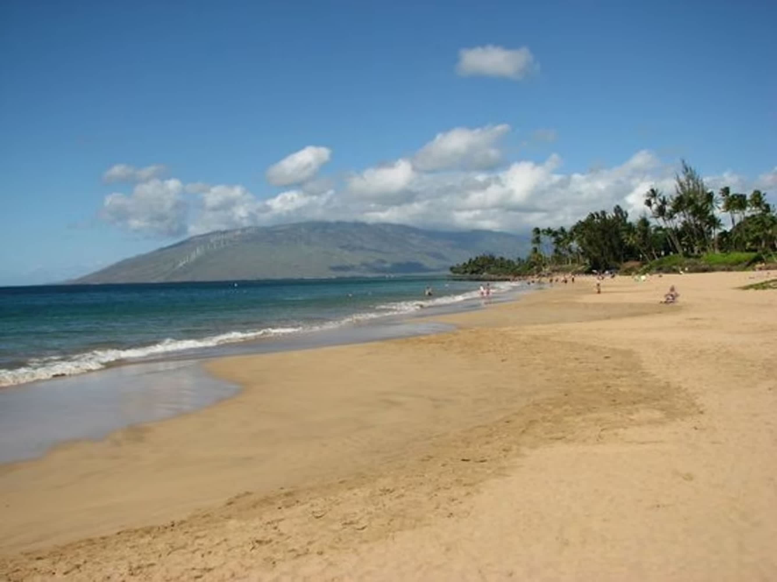 2 Bedrooms Condo, Steps from the Beach — photo 20