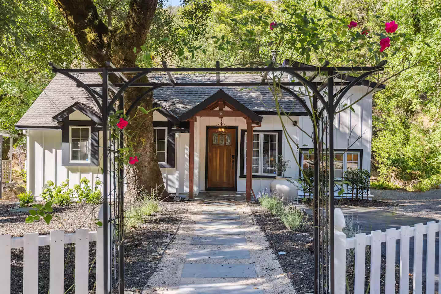 Backyard Creek | Near State Park | Modern Organic