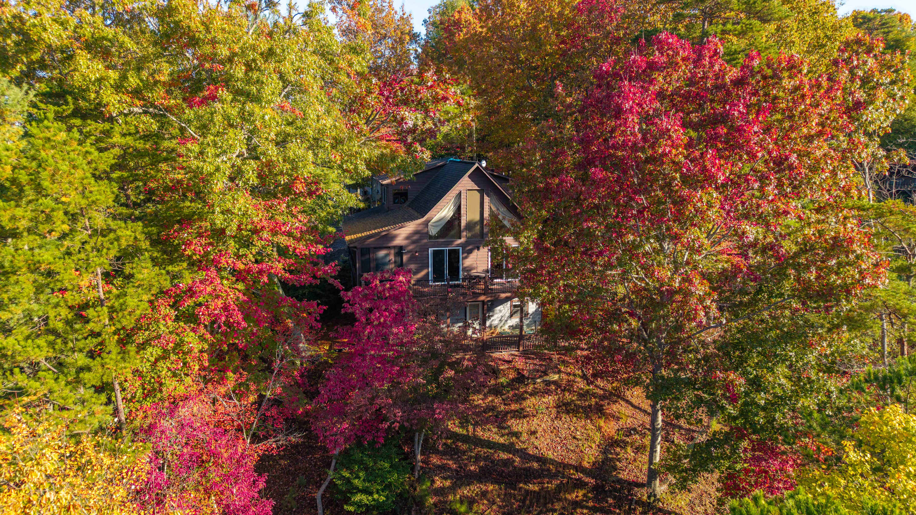 Green Forest Lodge - Pet Friendly — Murphy, NC — vacation rental
