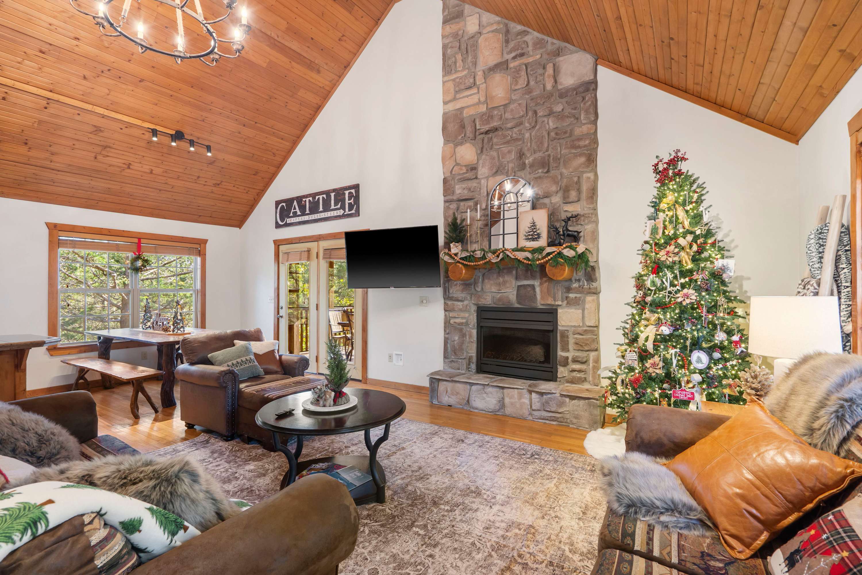 Spacious open living space with Smart TV, fireplace, and sofa sleeper