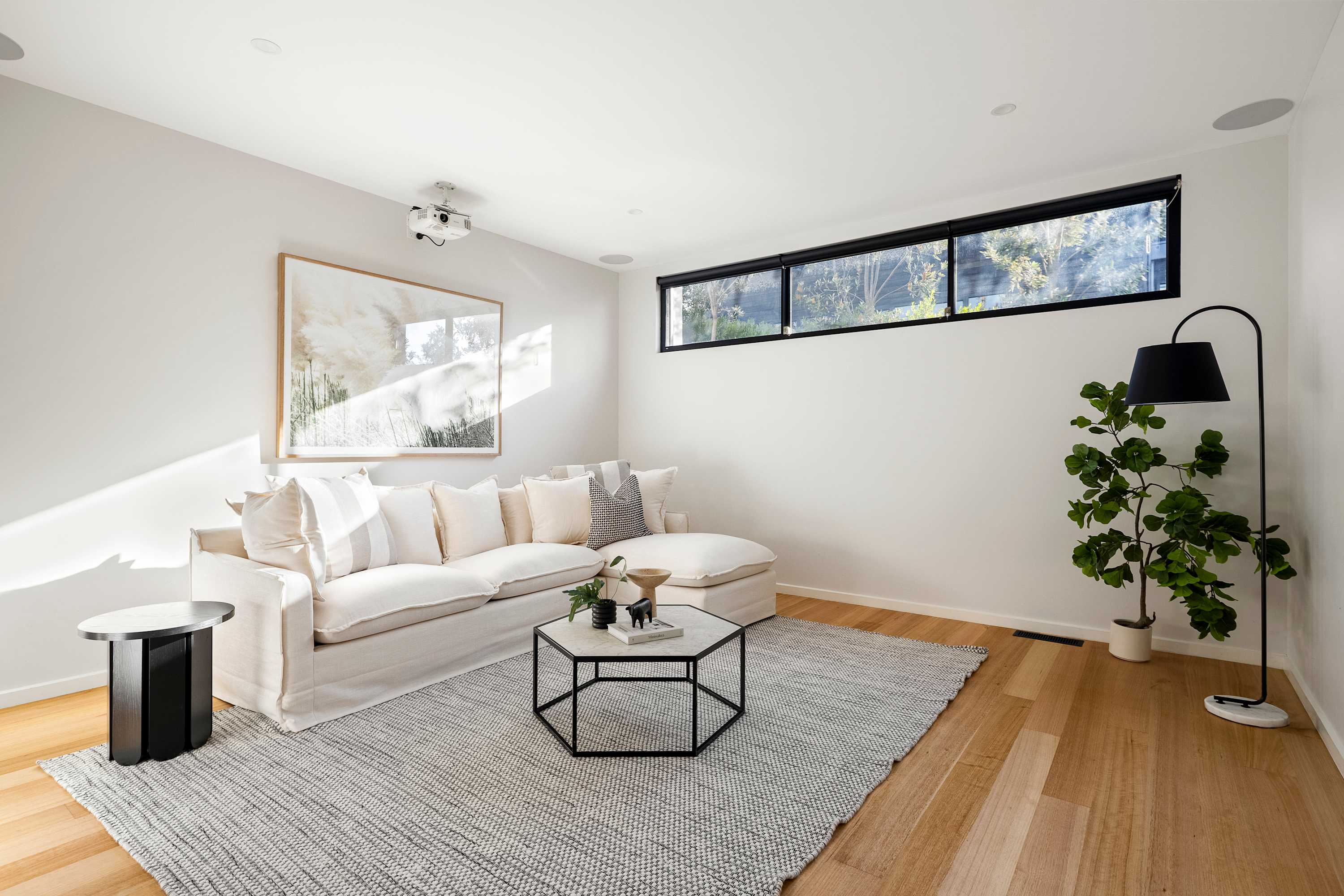 Theatre Room with Sofa bed