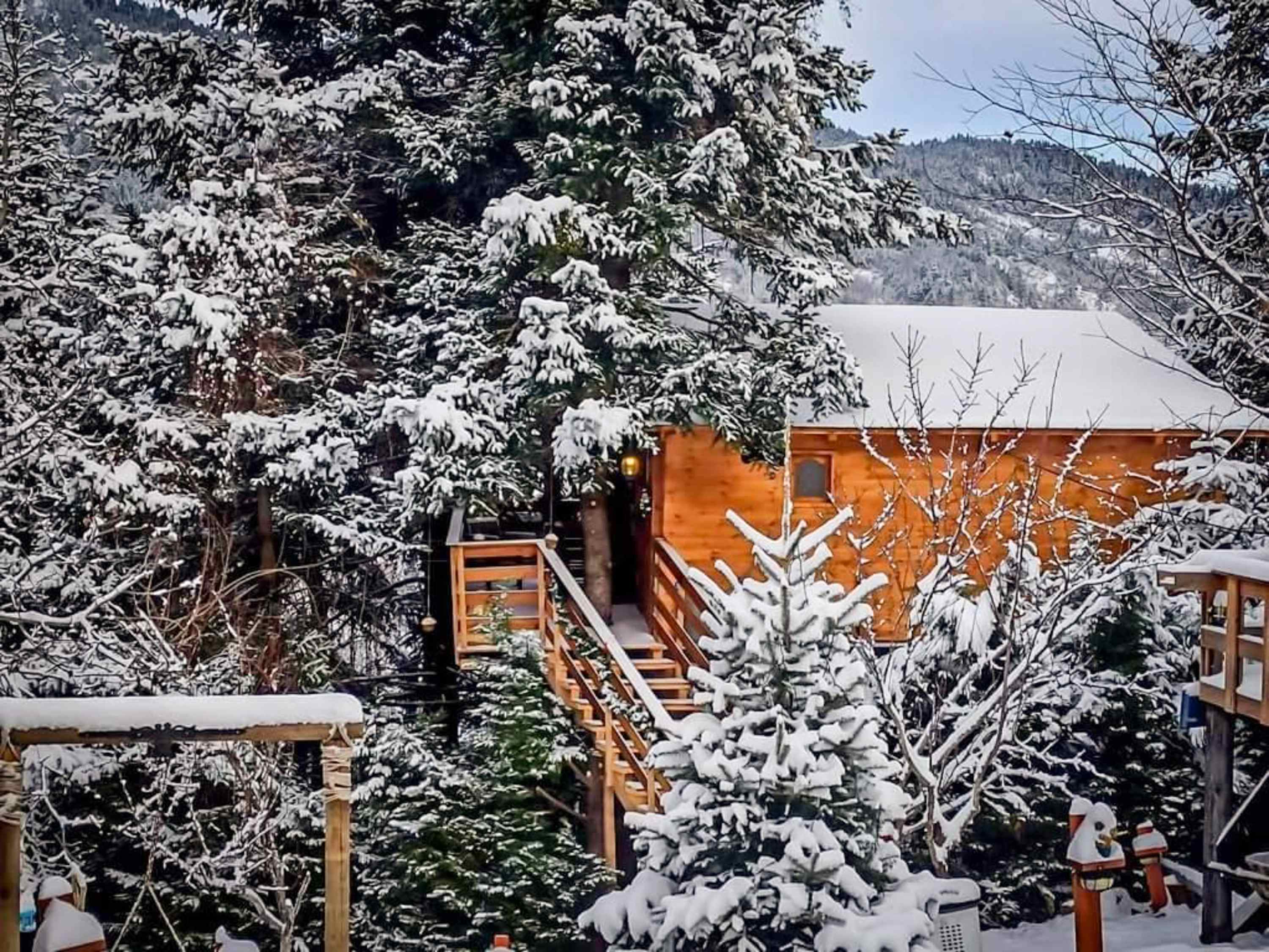 Kedra Village Treehouse - Peaceful Forest Views — Kedra, Kedra — vacation rental